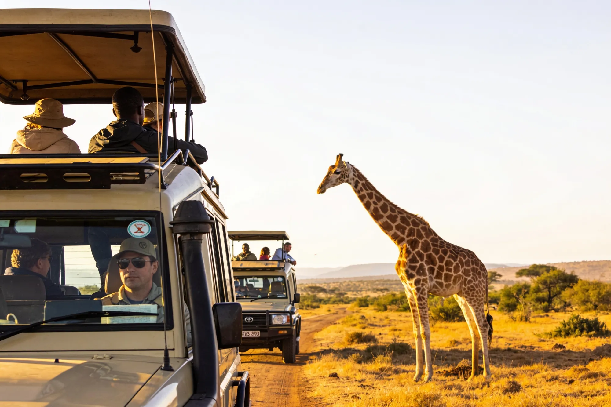 Photo: Riders near giraffe on safari