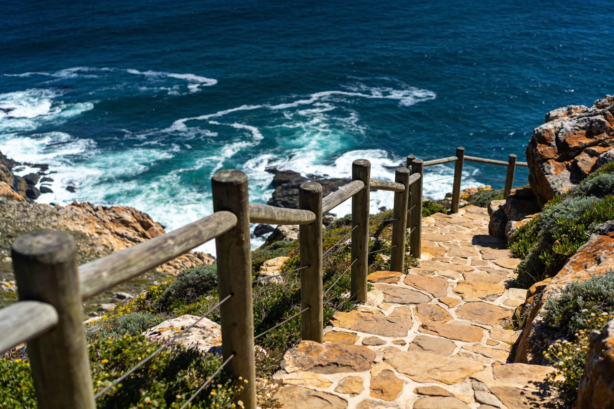Hermanus and land-based watching