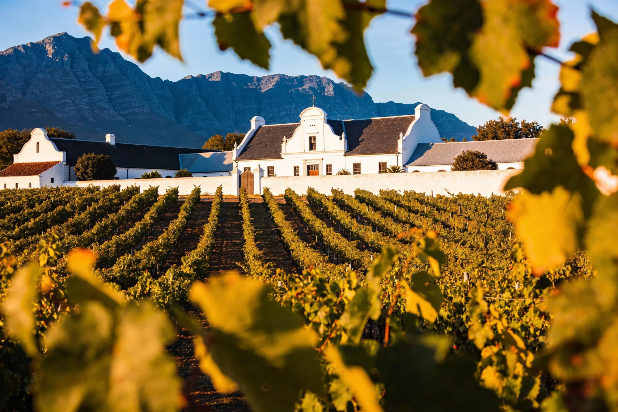 Stellenbosch