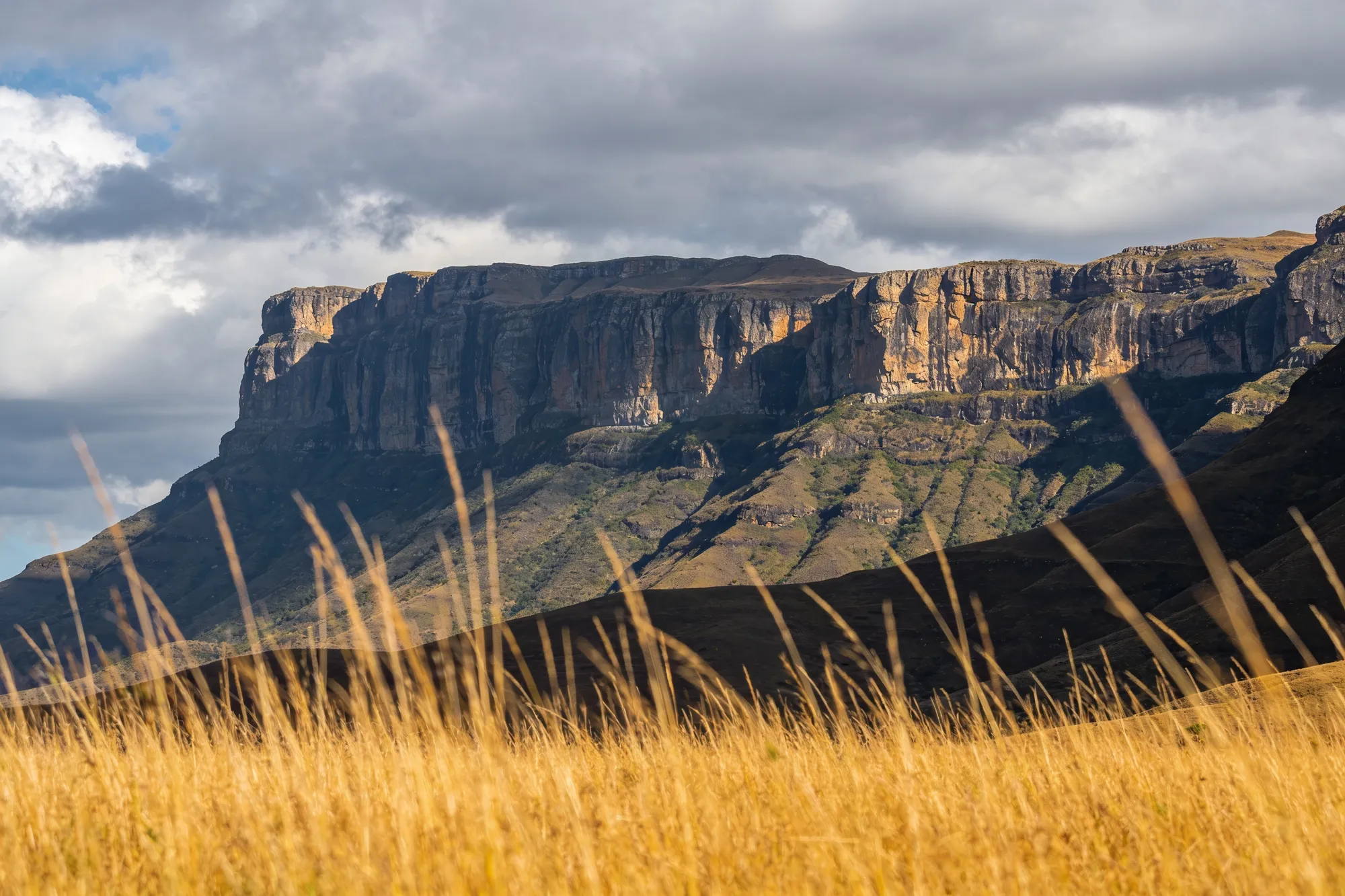 Northern Berg (Bergville & the Amphitheatre)