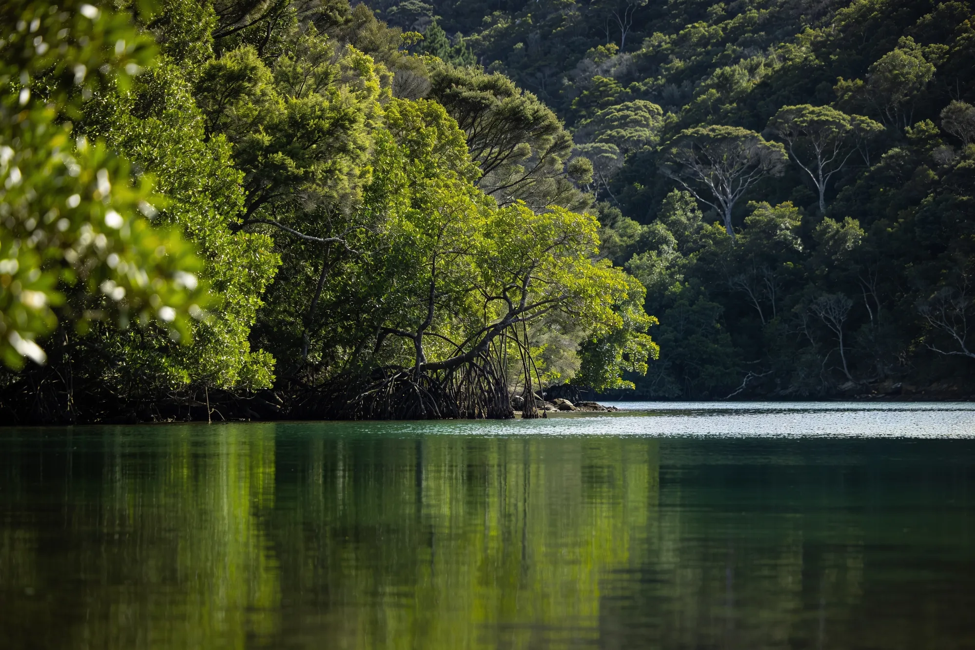 Knysna & Wilderness