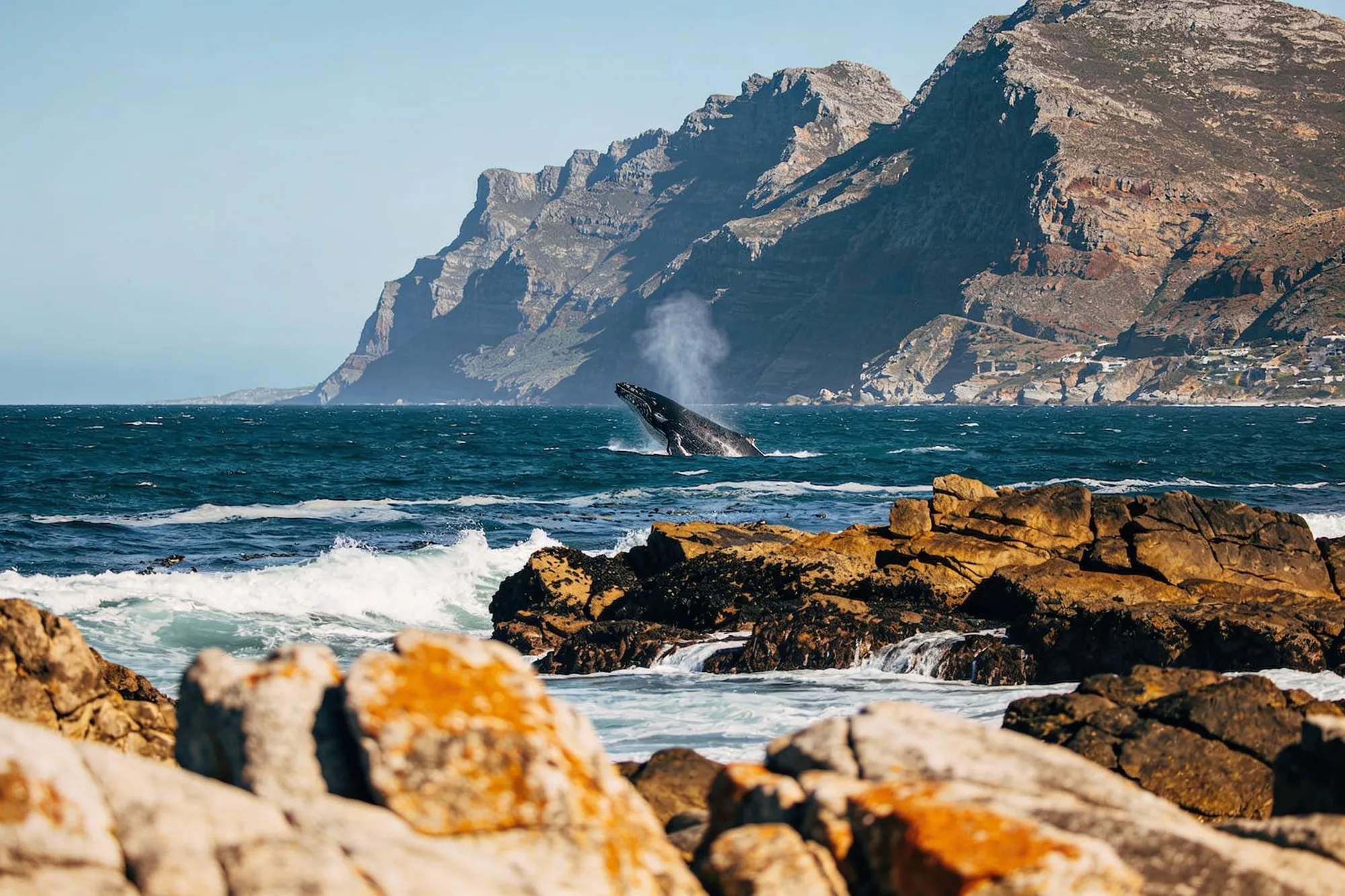 Hermanus
