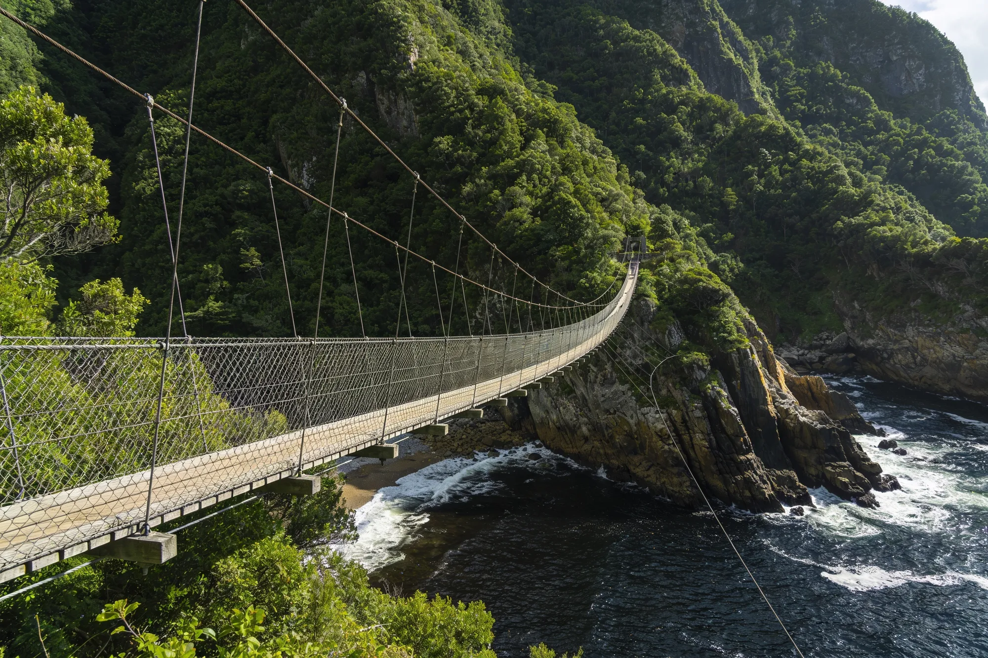Tsitsikamma & Storms River
