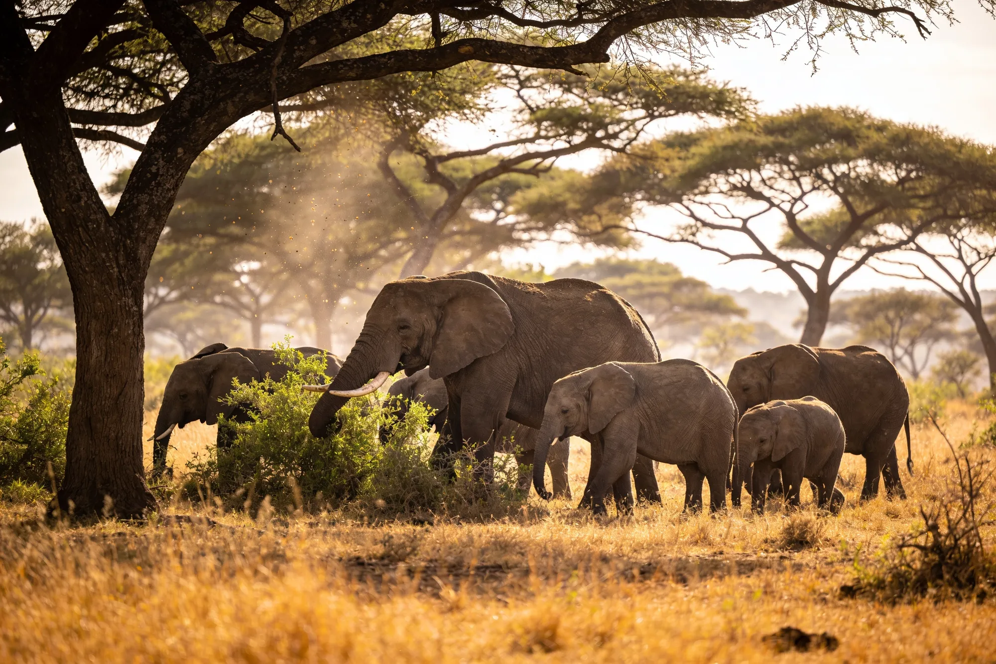 Kruger National Park