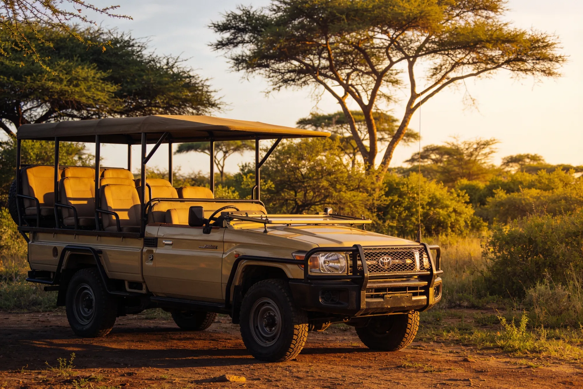 Private reserves (Sabi Sand, Timbavati)