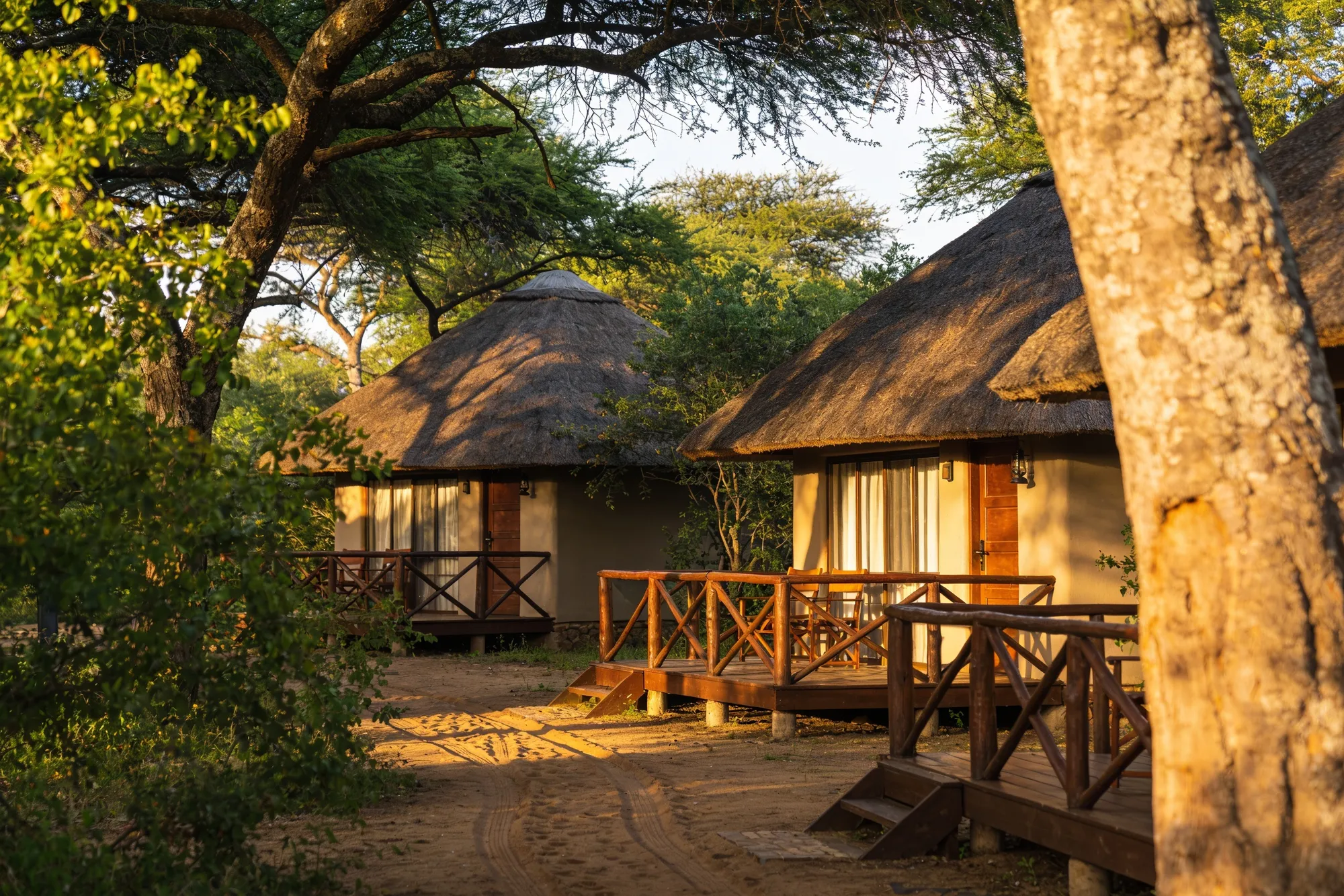 Southern Kruger (Skukuza, Lower Sabie)