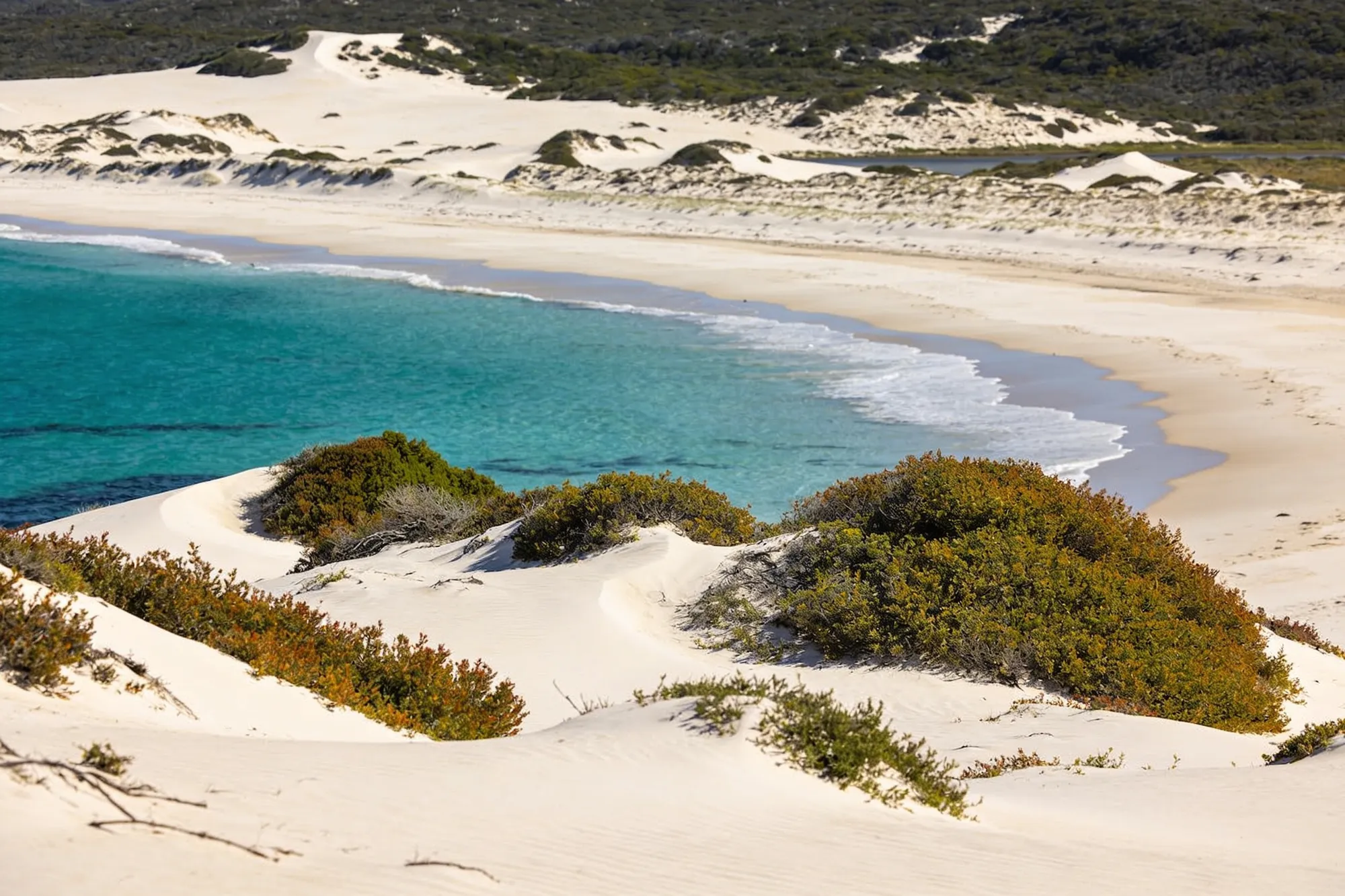De Hoop Nature Reserve