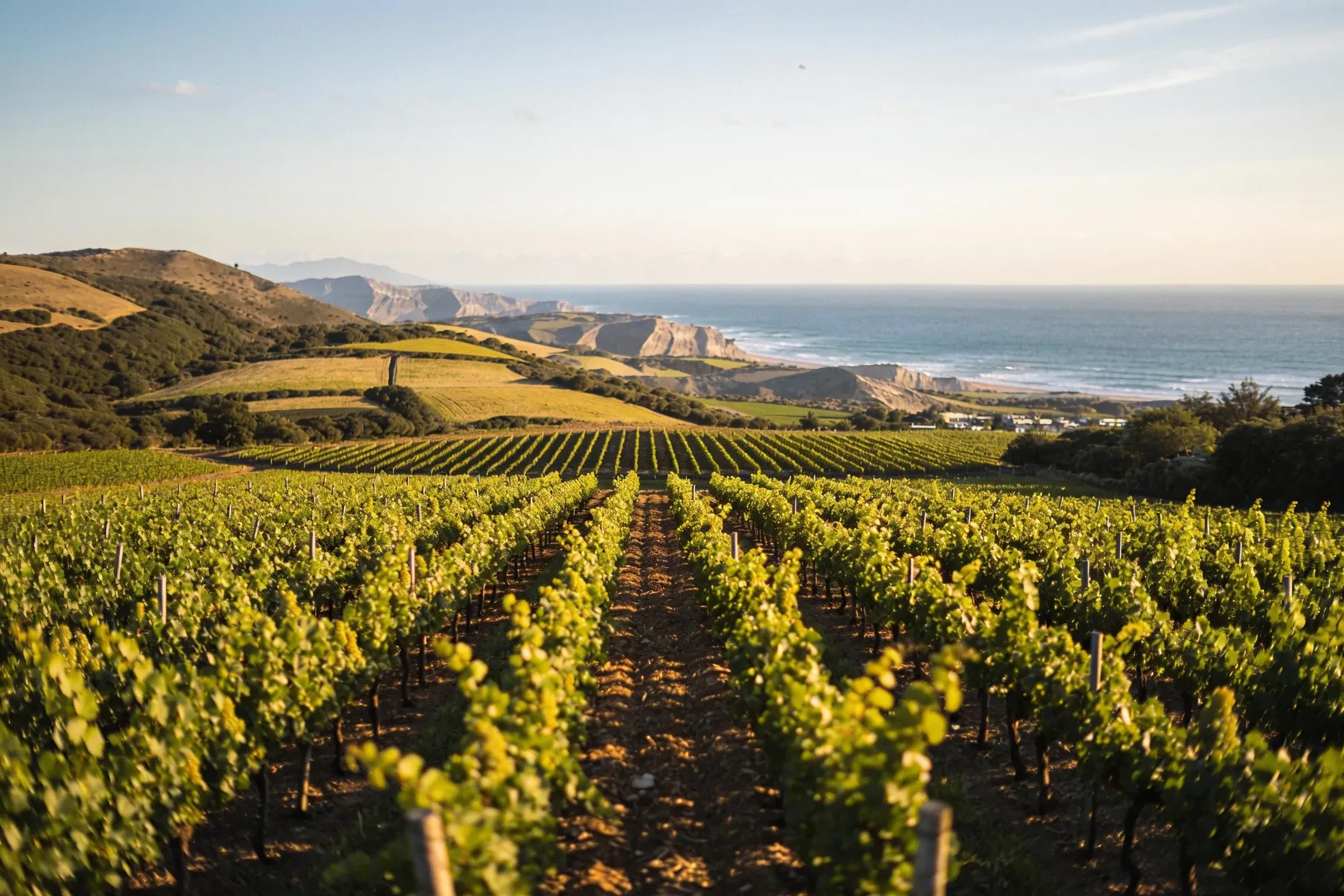 The Hemel-en-Aarde valley