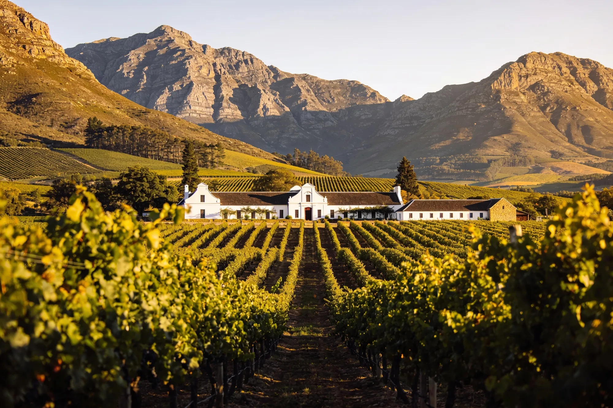 Cape Winelands