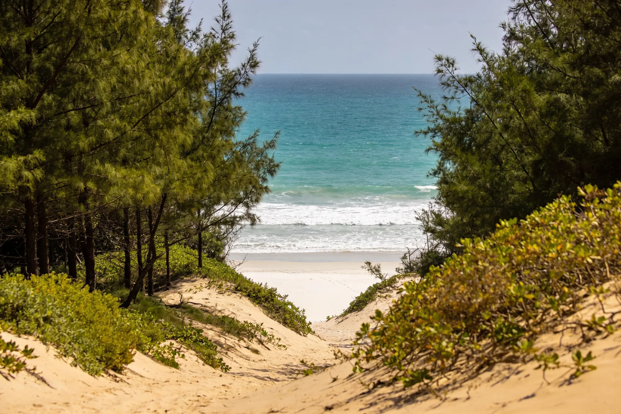 Sodwana & the far north (Maputaland)