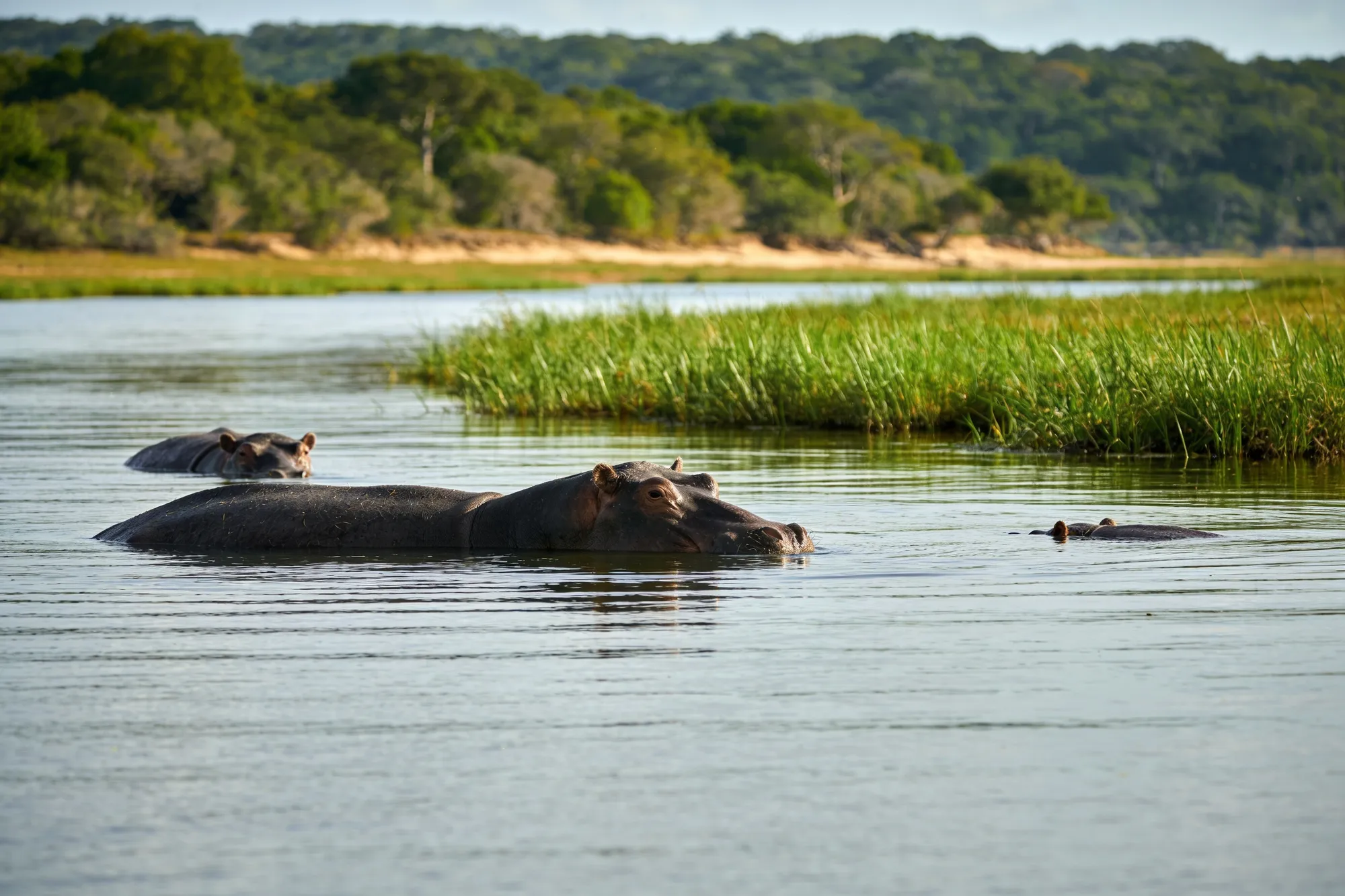 iSimangaliso & St Lucia