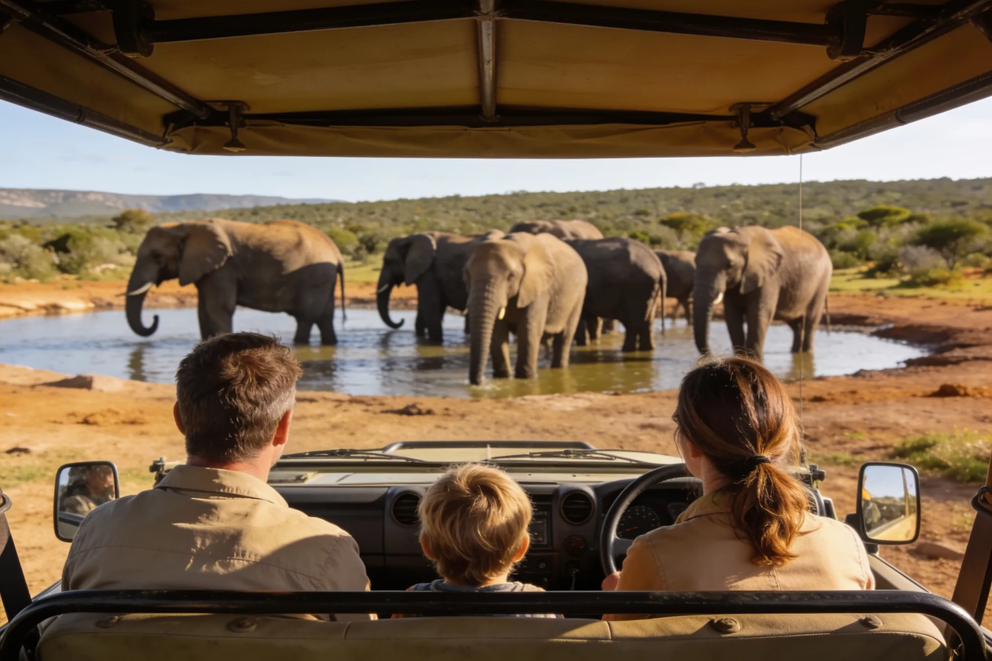 A family watching elephants from a safari vehicle in Addo Elephant Park