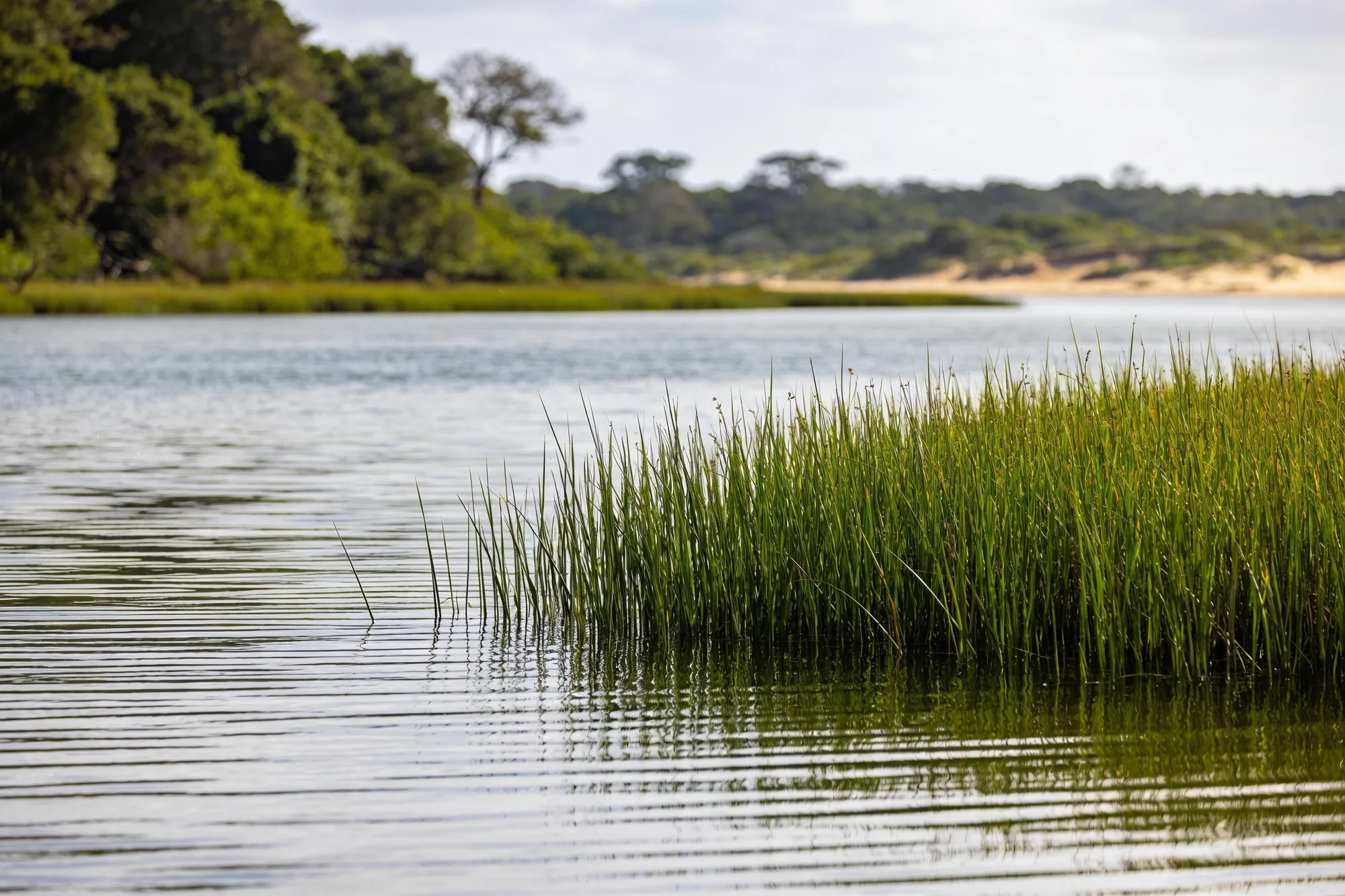 Durban → St Lucia (iSimangaliso)