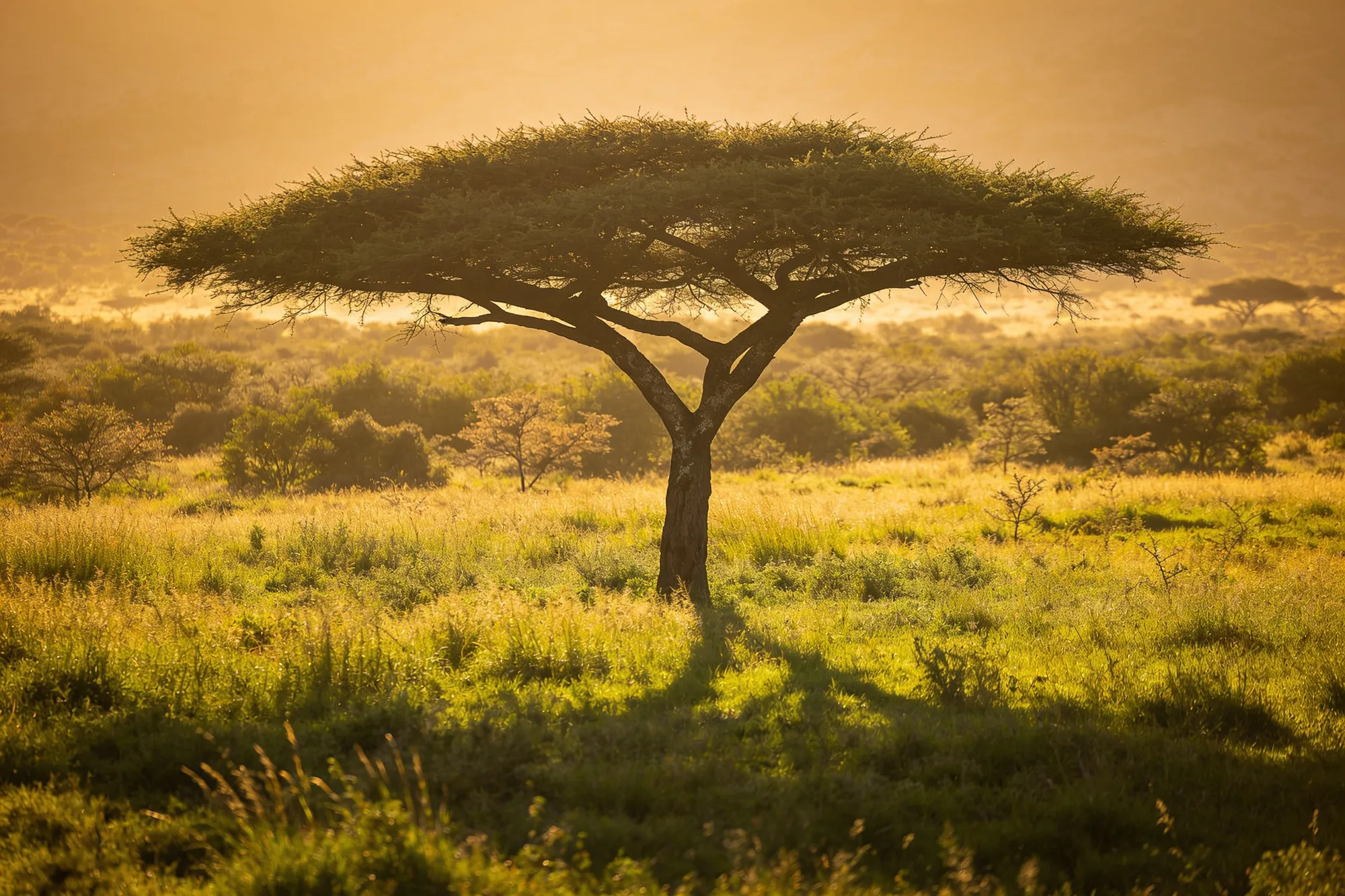 When is the best time to visit South Africa?