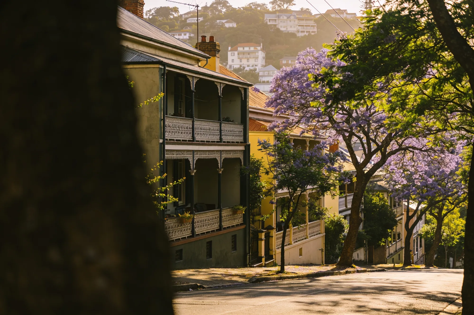 Leafy streets and Victorian houses on the Berea ridge above Durban