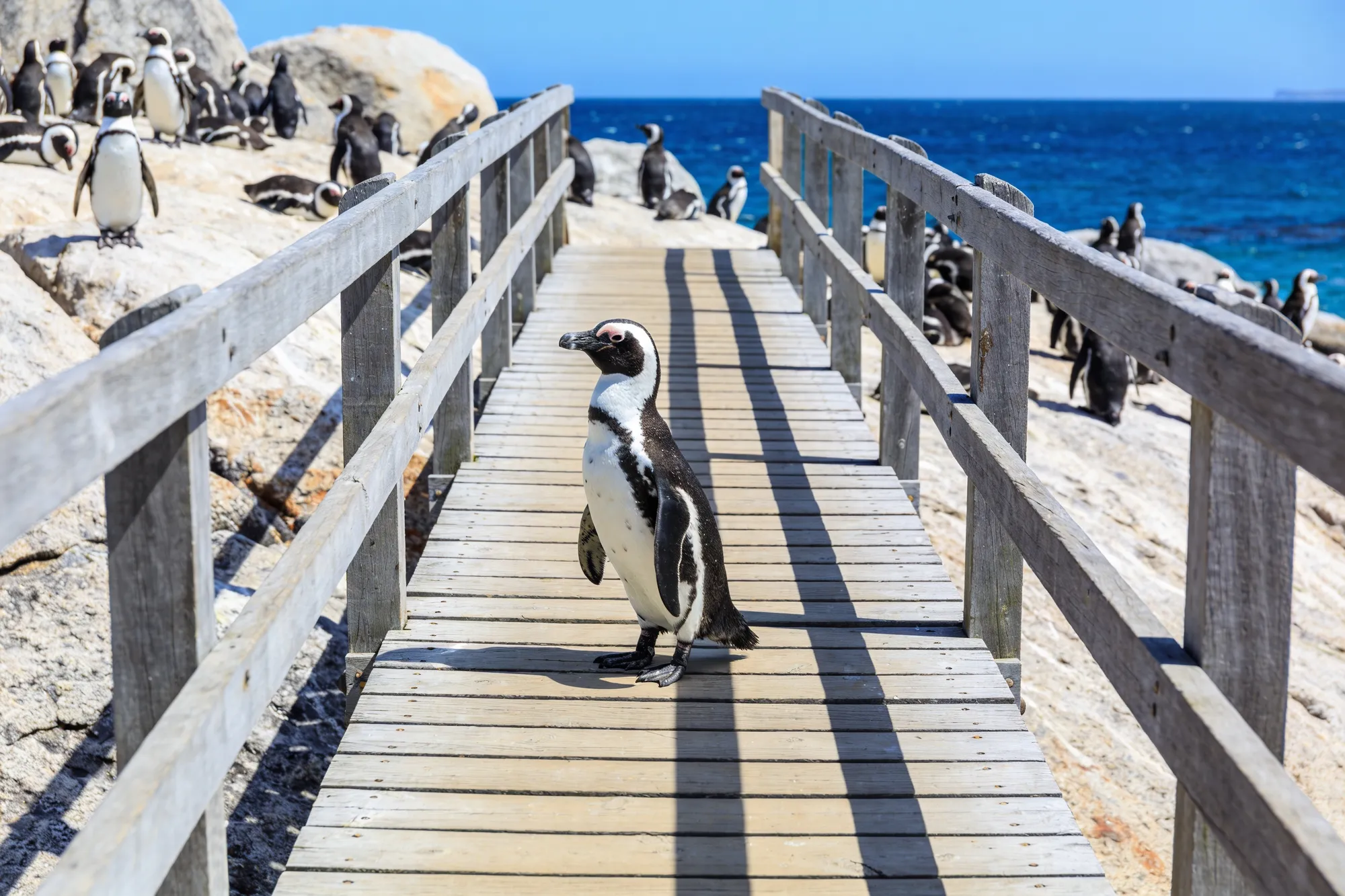 The boardwalk at Stony Point