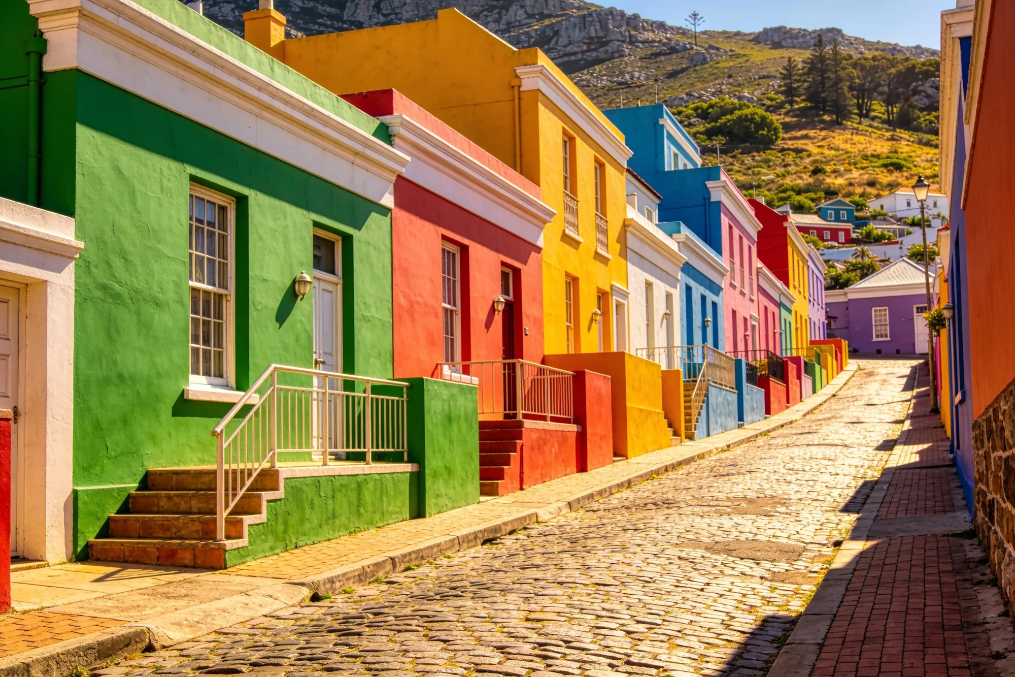 Un paseo libre