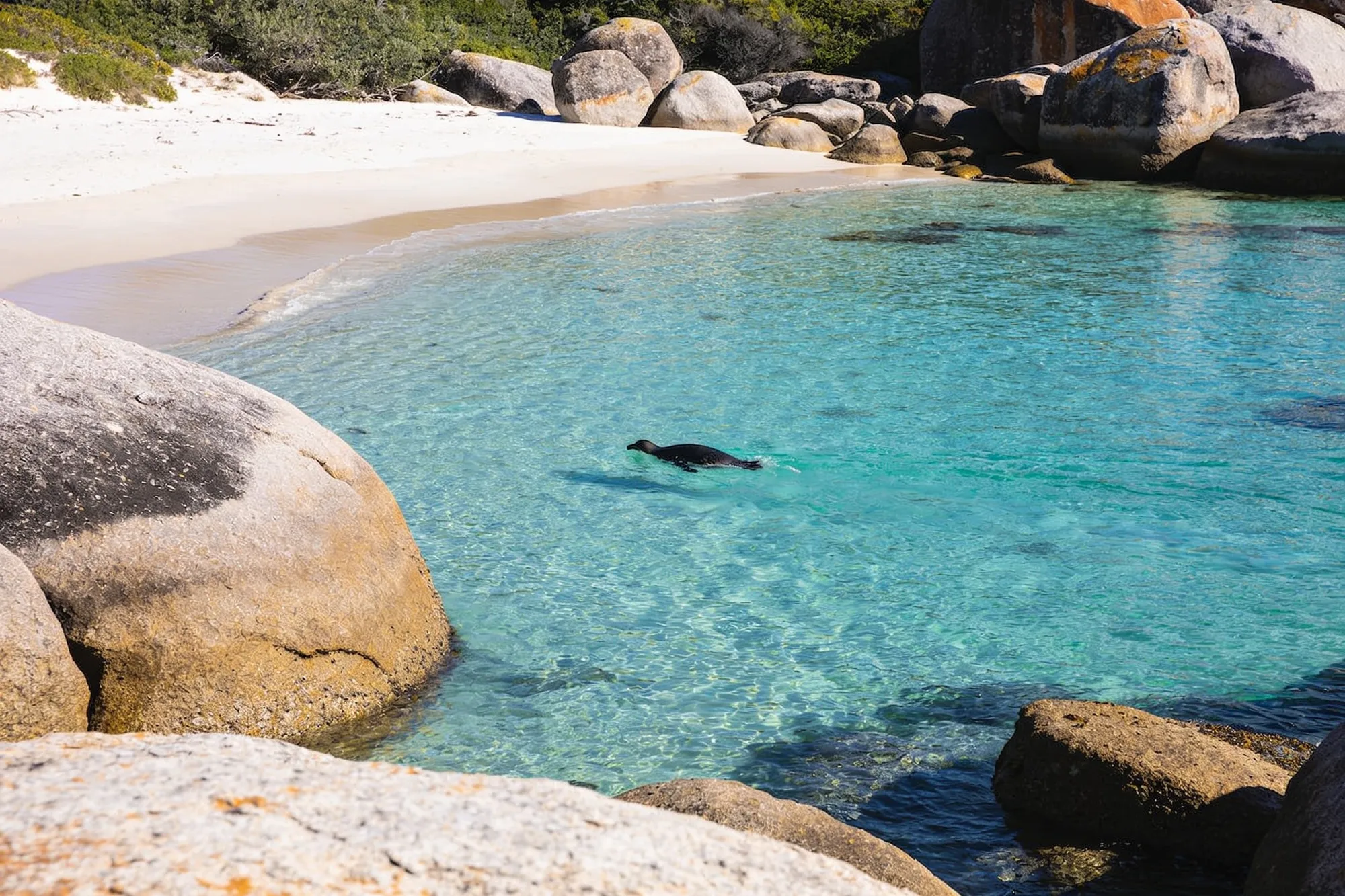 Foto — Baño en la cala resguardada