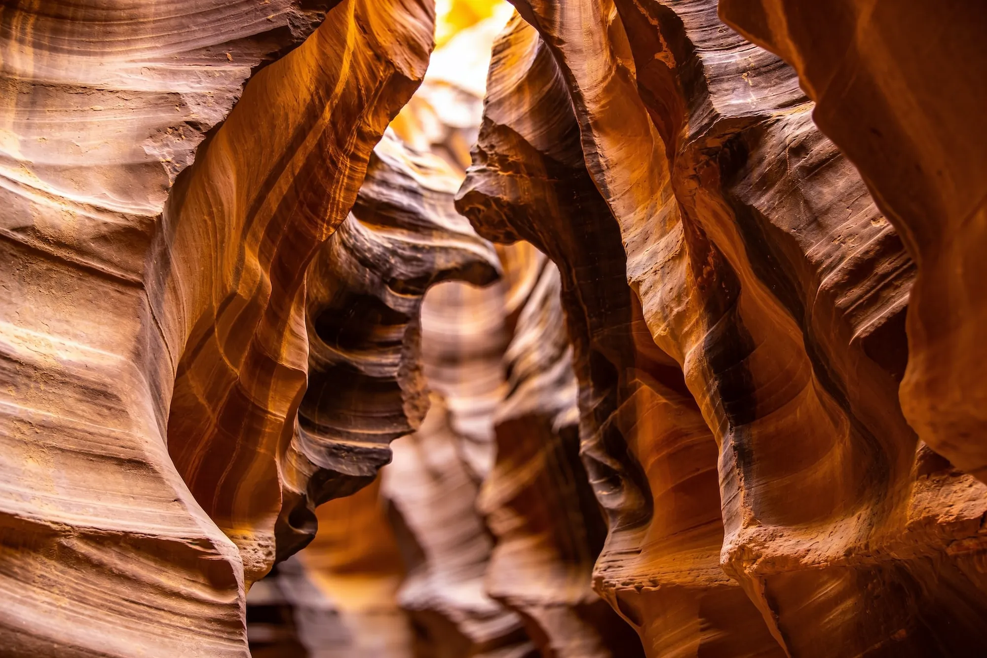 Photo — The carved rock detail