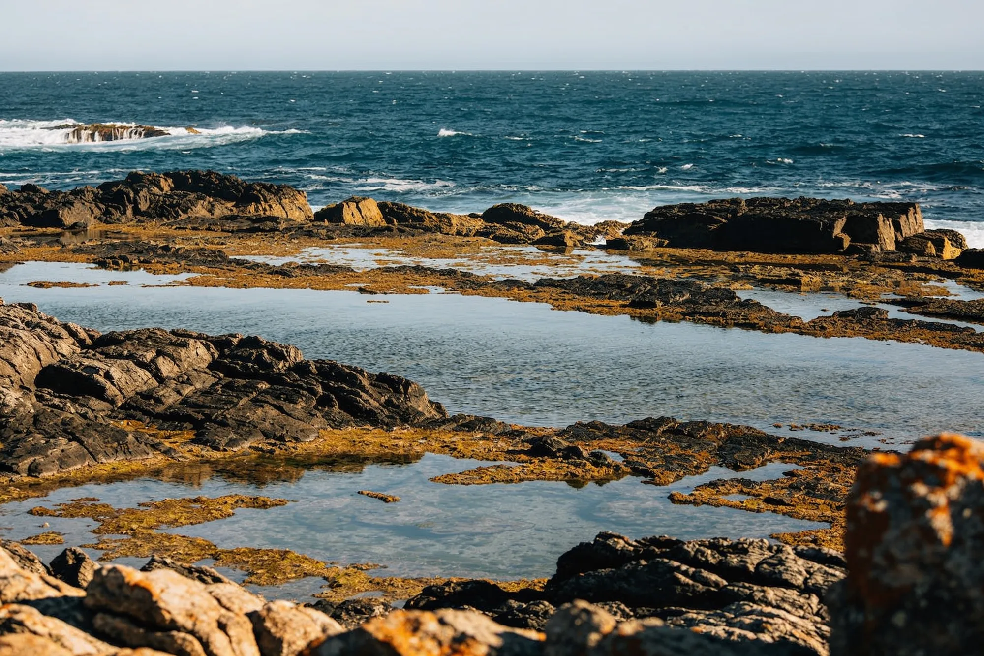 Foto — La costa rocosa en la punta