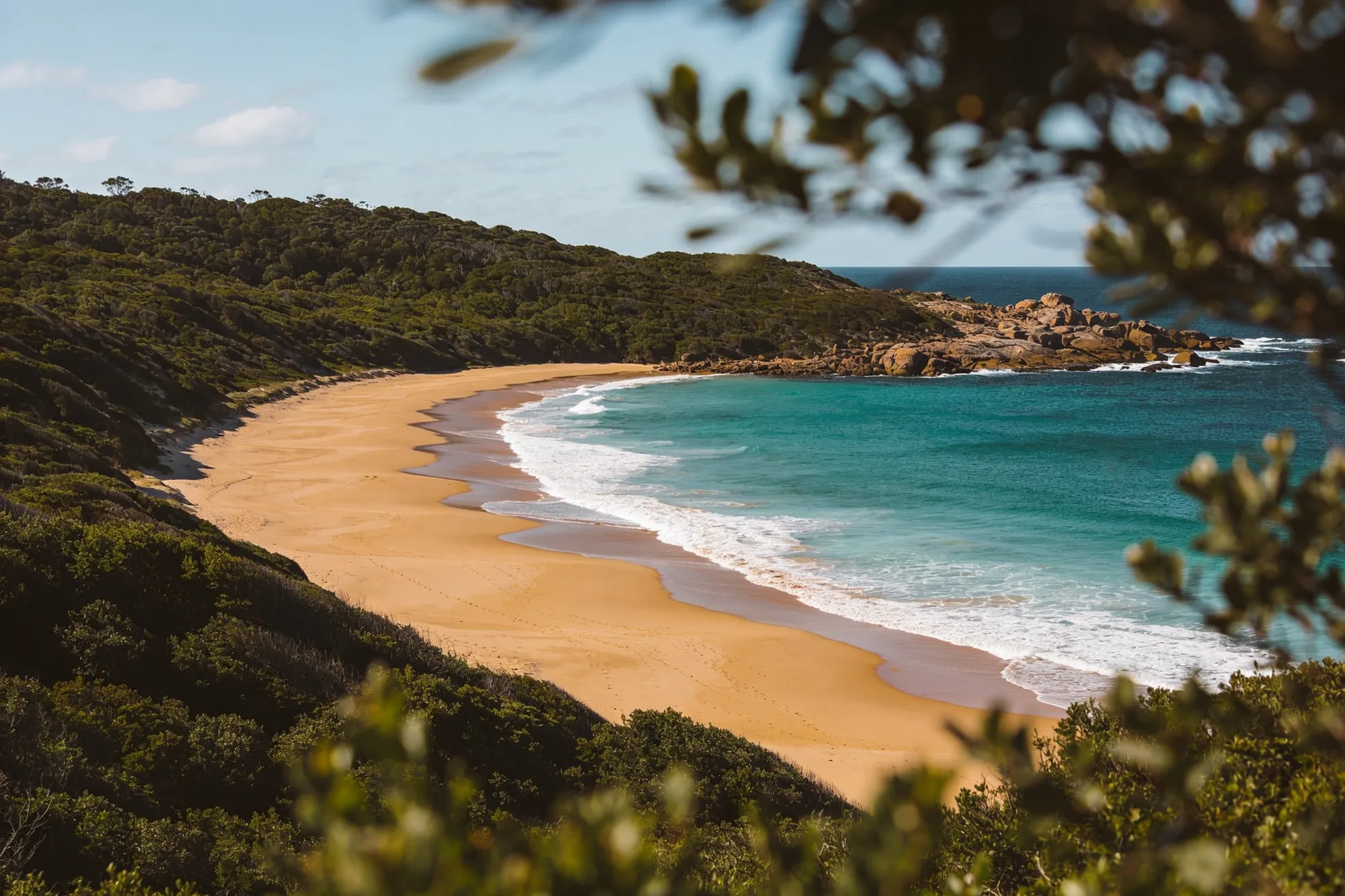 Cape Vidal