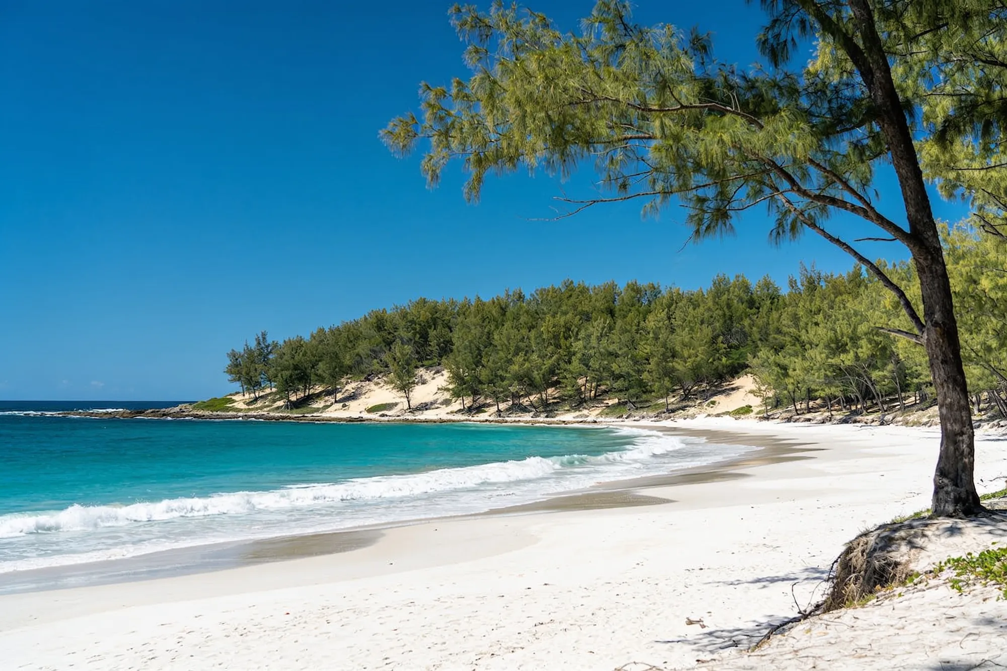 Swim and snorkel the sheltered bay