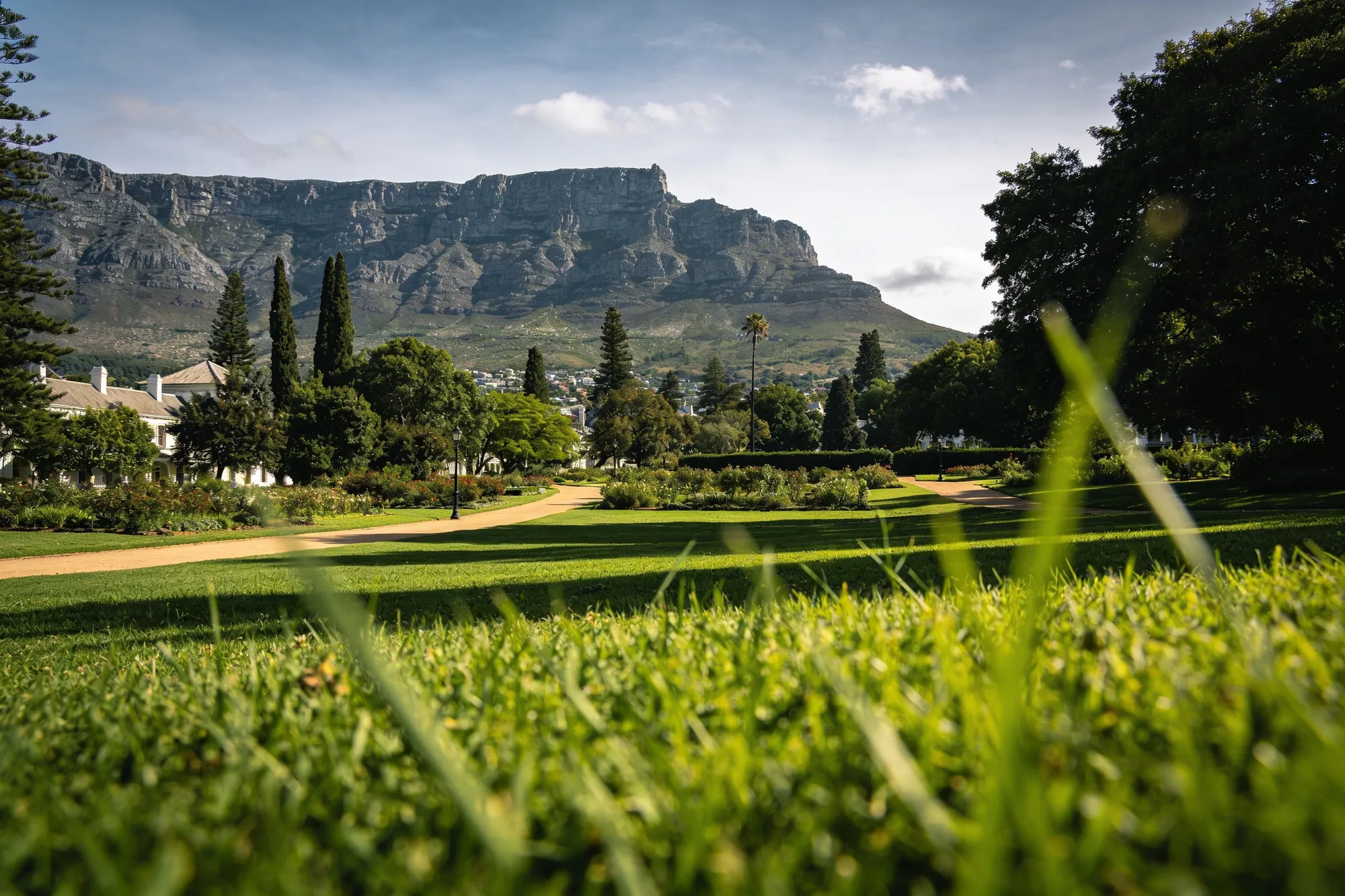 Foto: los céspedes y Table Mountain