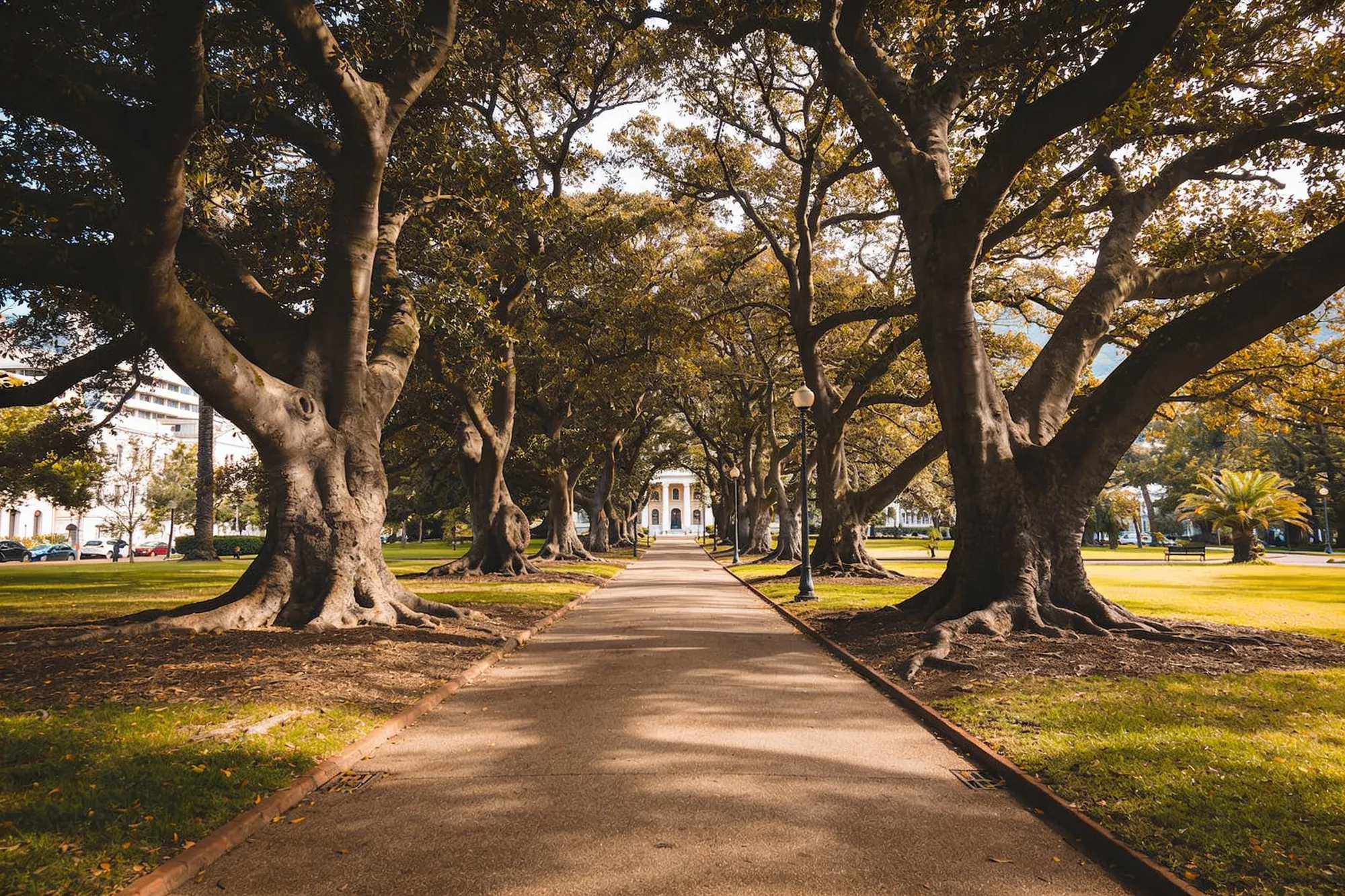 Un frondoso paseo por los orígenes de la ciudad