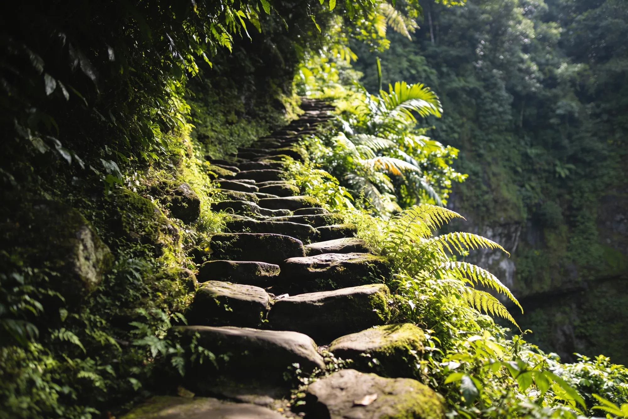 Photo — The steps between the lookouts