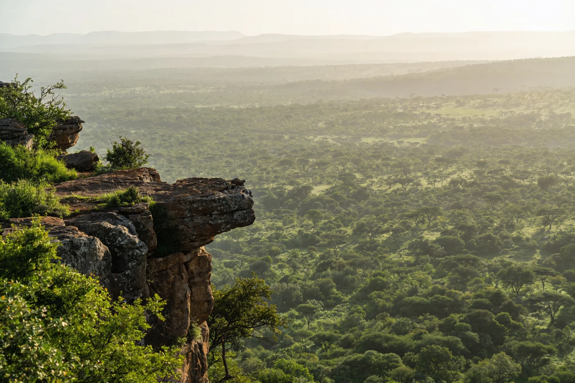 Photo — The lowveld from the cliff edge