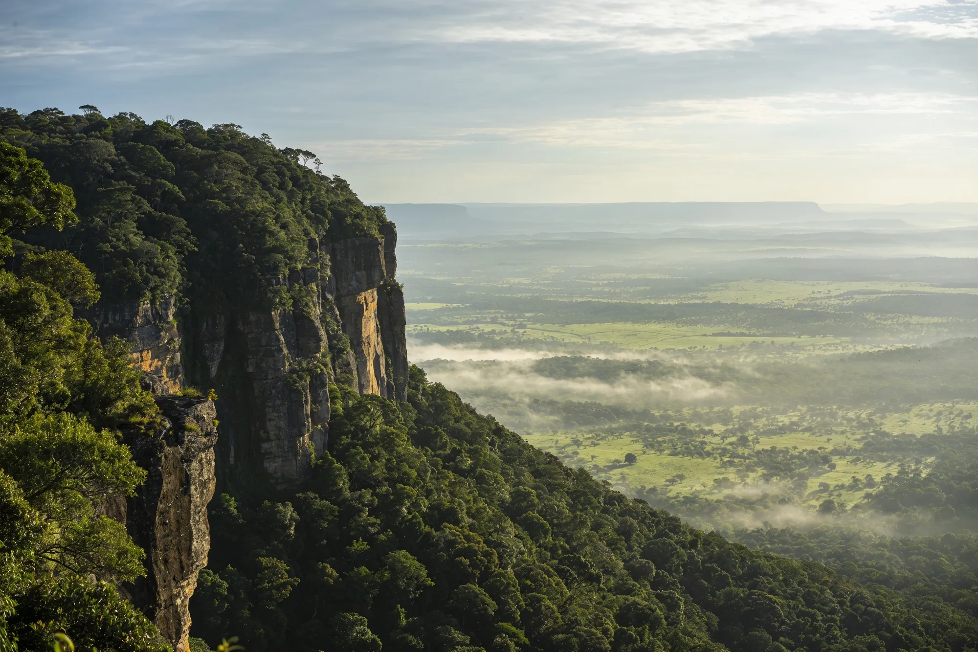 The sheer drop from God's Window to the lowveld on the Panorama Route