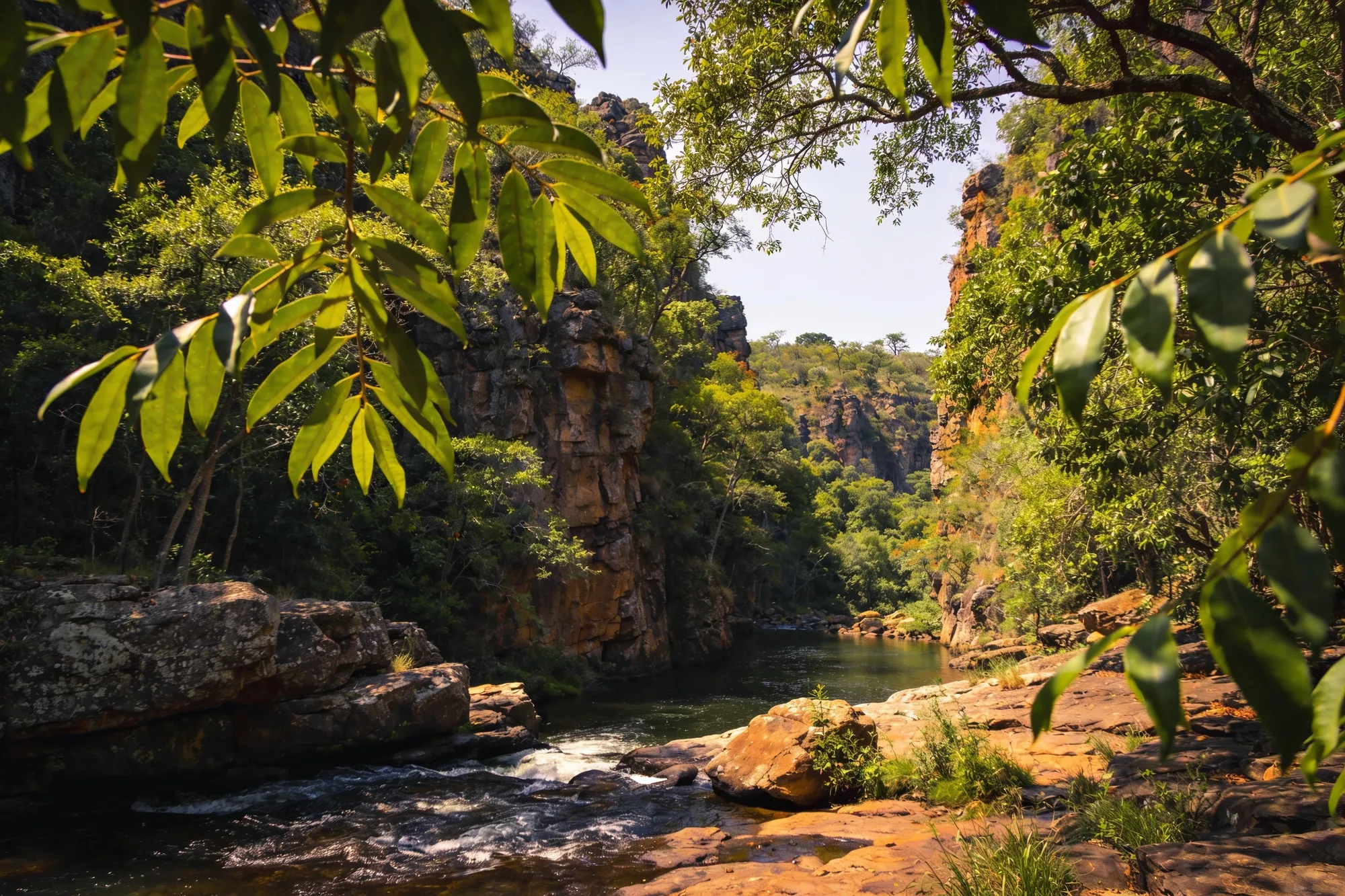 Photo: The Graskop Gorge nearby