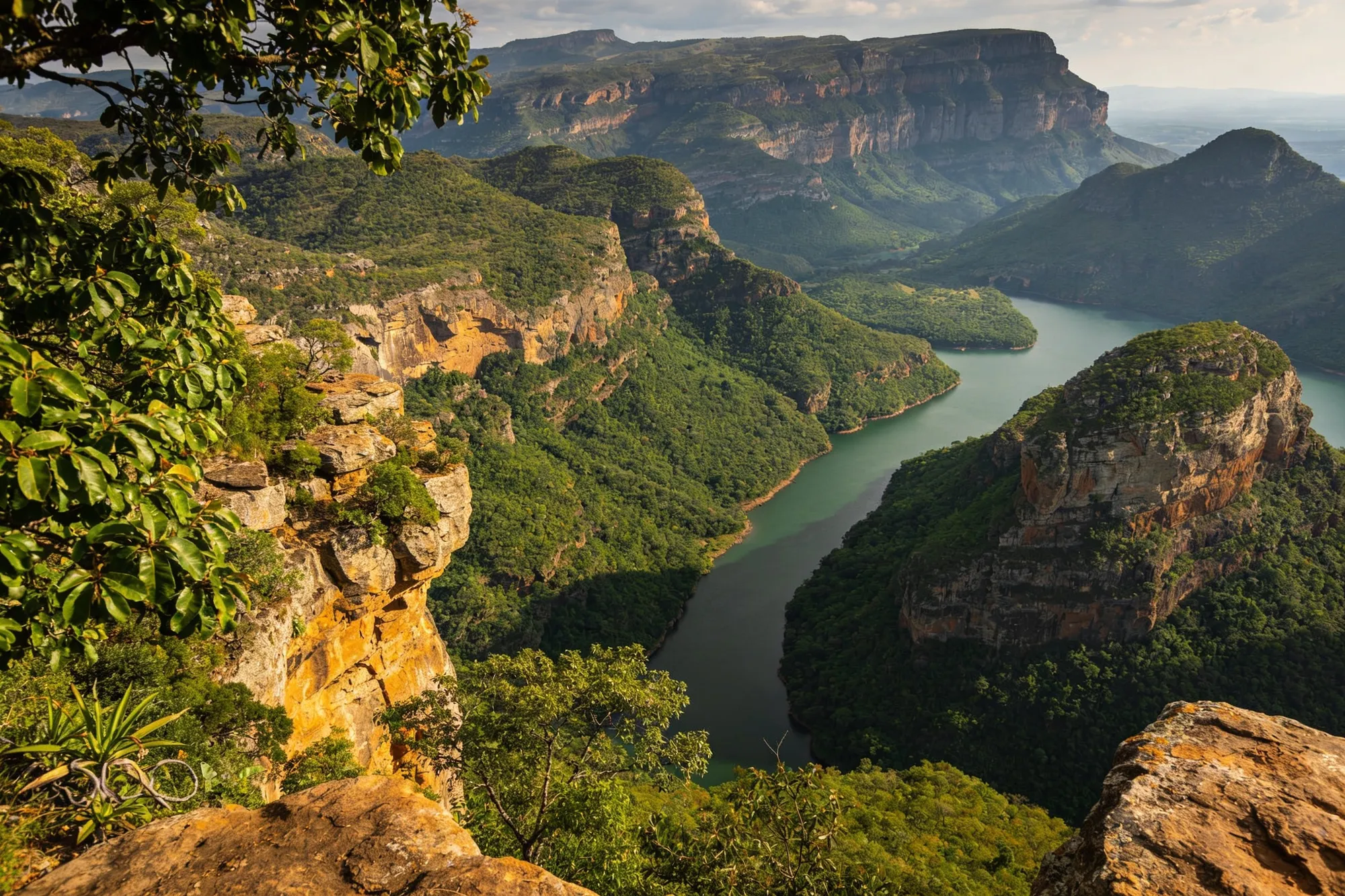 The hinge between bush and escarpment