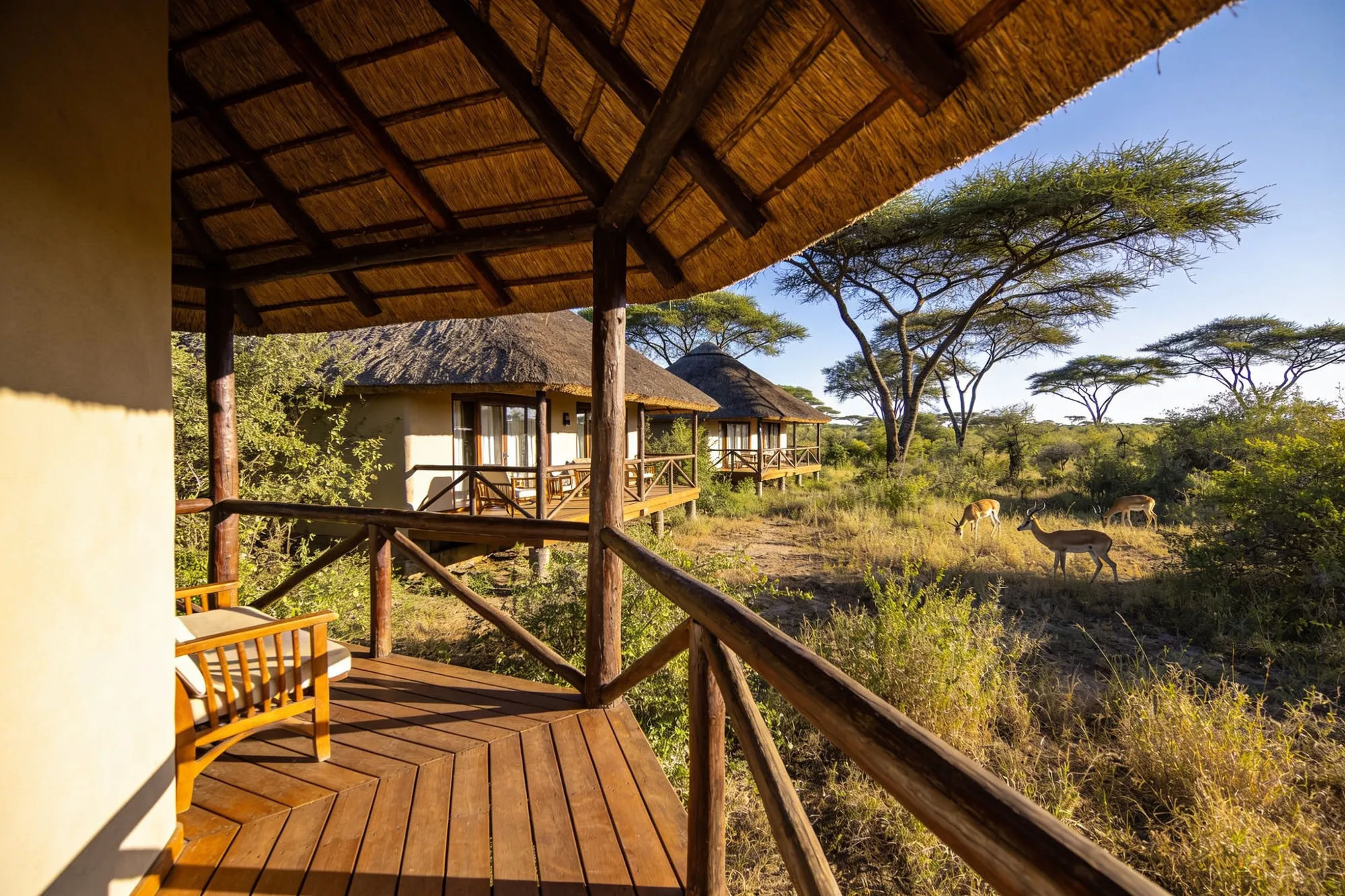 The gateway to Greater Kruger