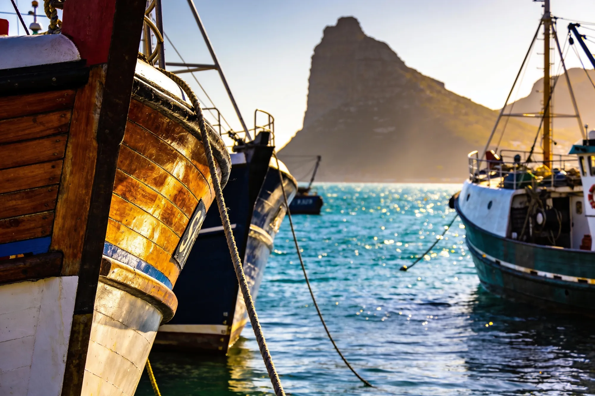 Foto: barcos de pesca en el puerto