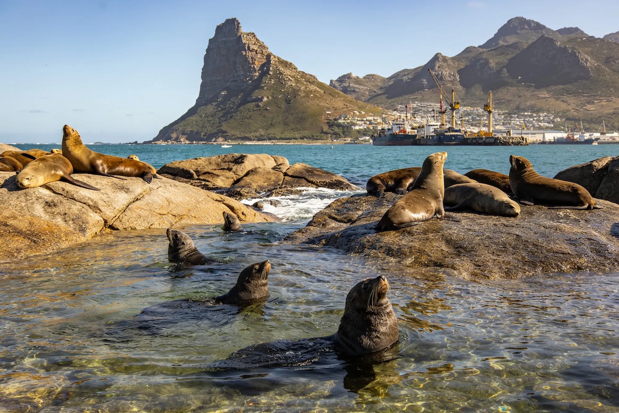 Barcos de pesca, marisco y Duiker Island