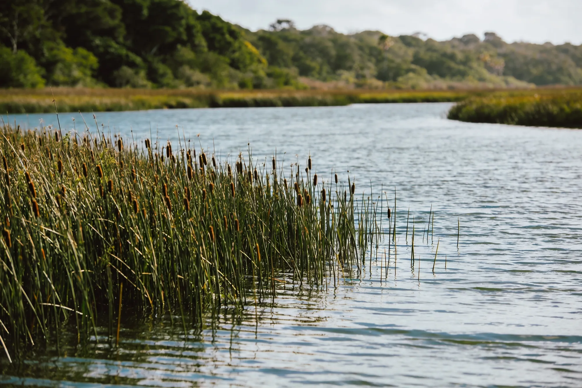 Photo — The St Lucia estuary mouth