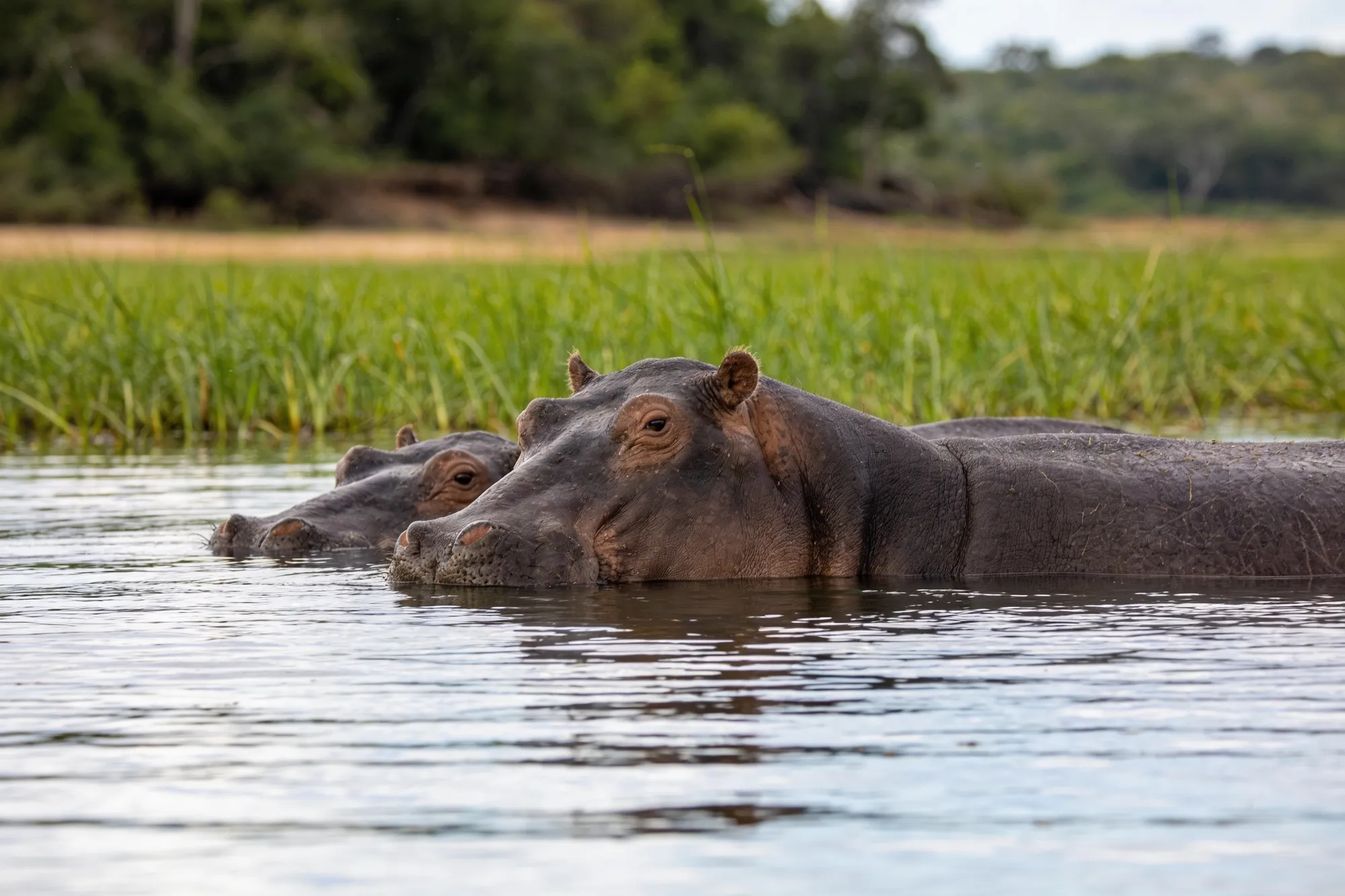 iSimangaliso & St Lucia