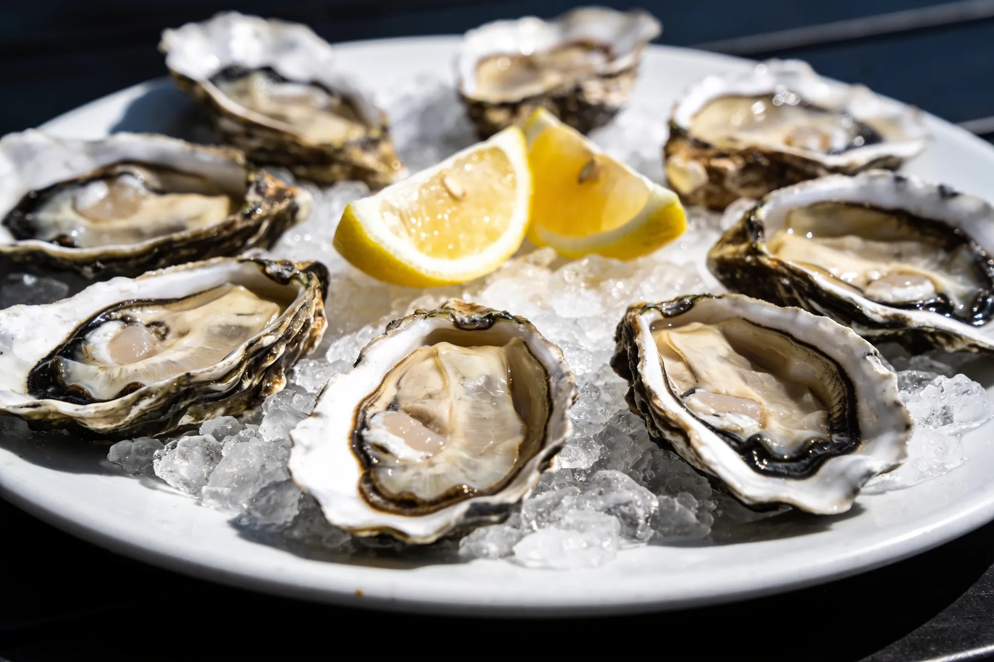 Photo — A plate of Knysna oysters