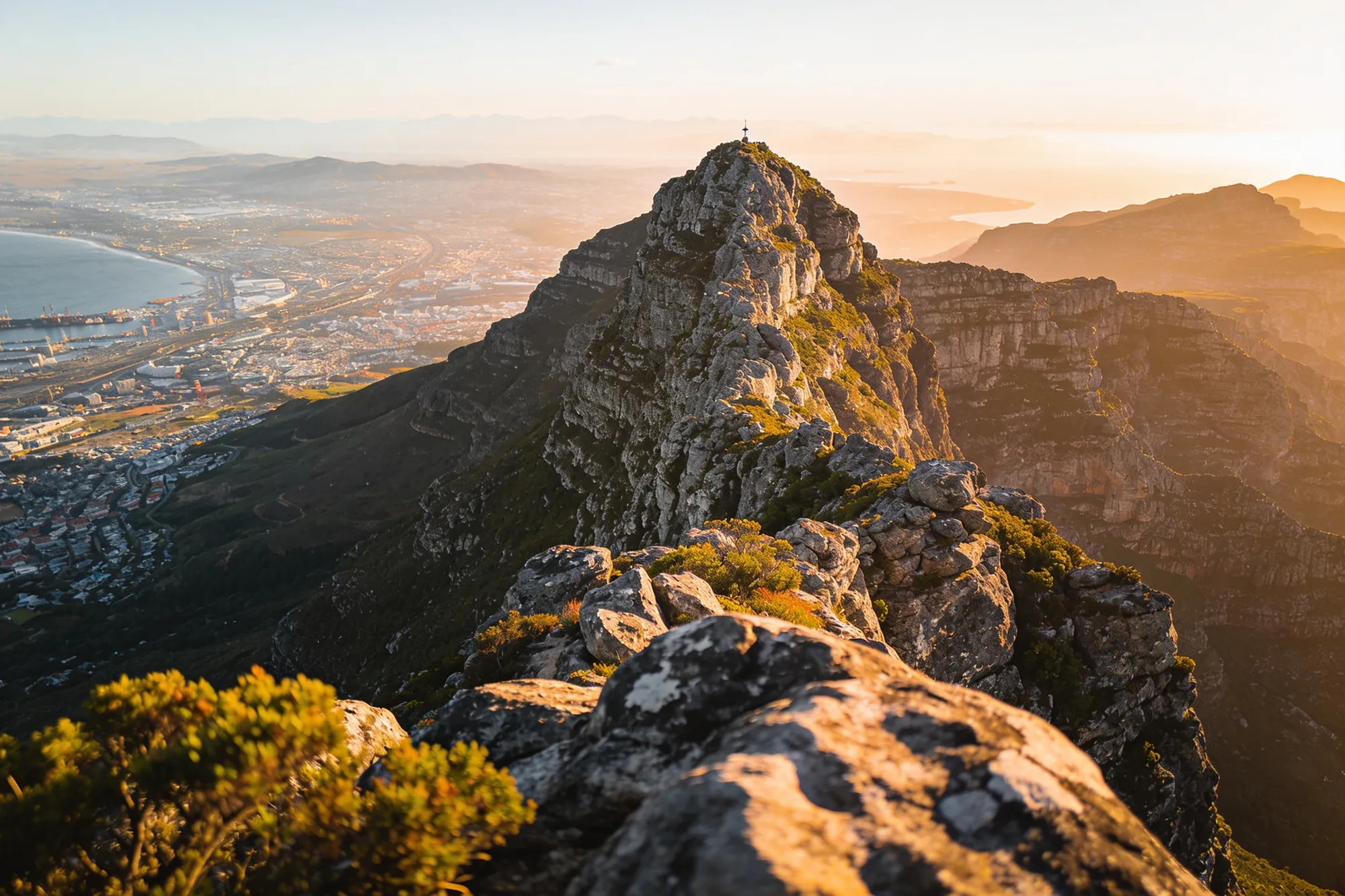 Lion's Head