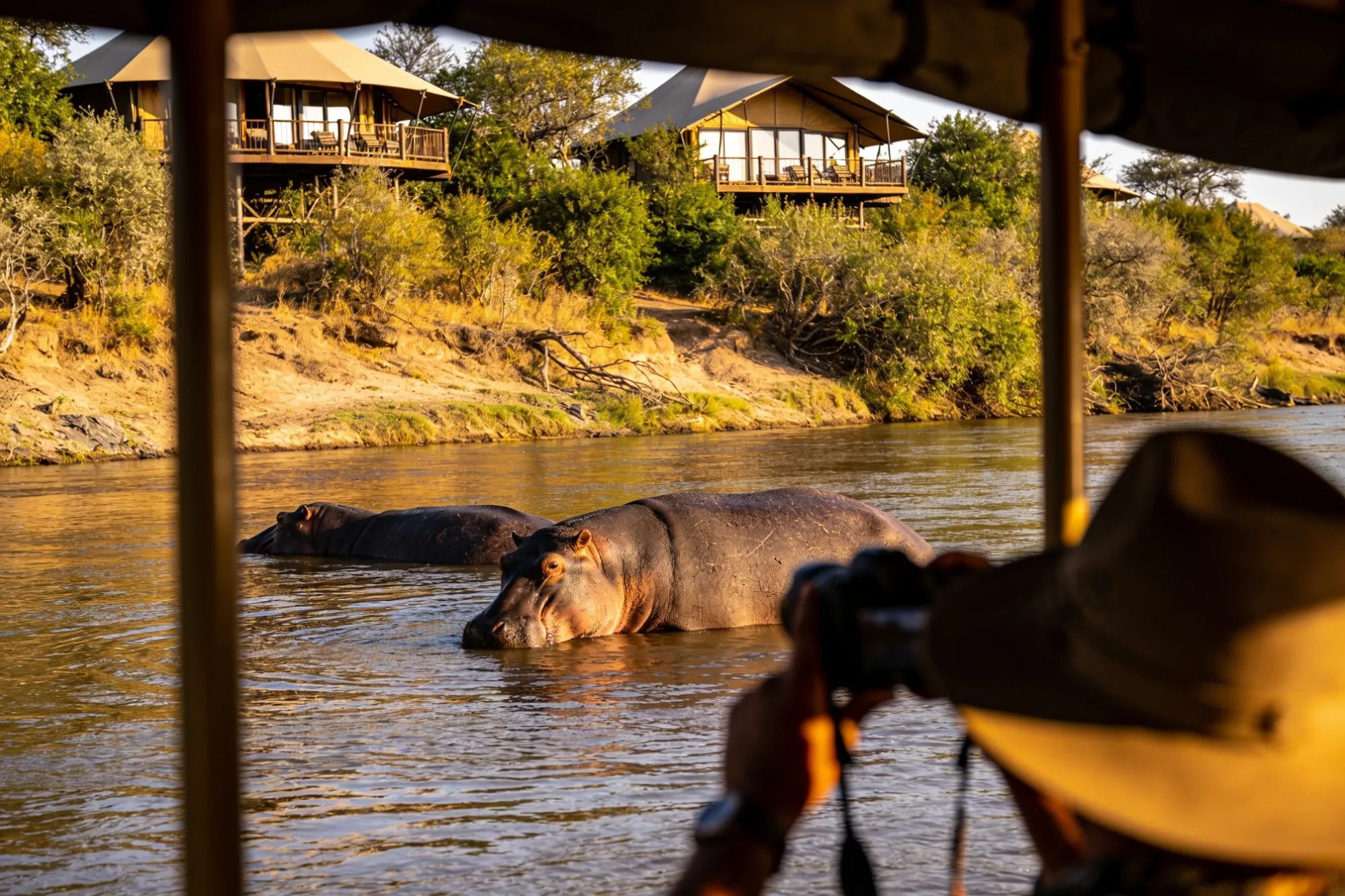 Photo: Hippos below the camp