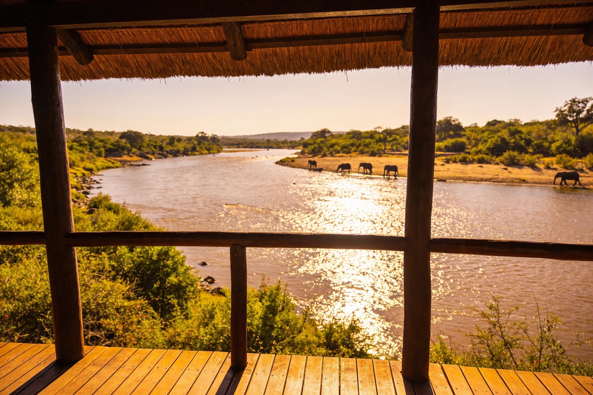 Photo: The Sabie River from the deck