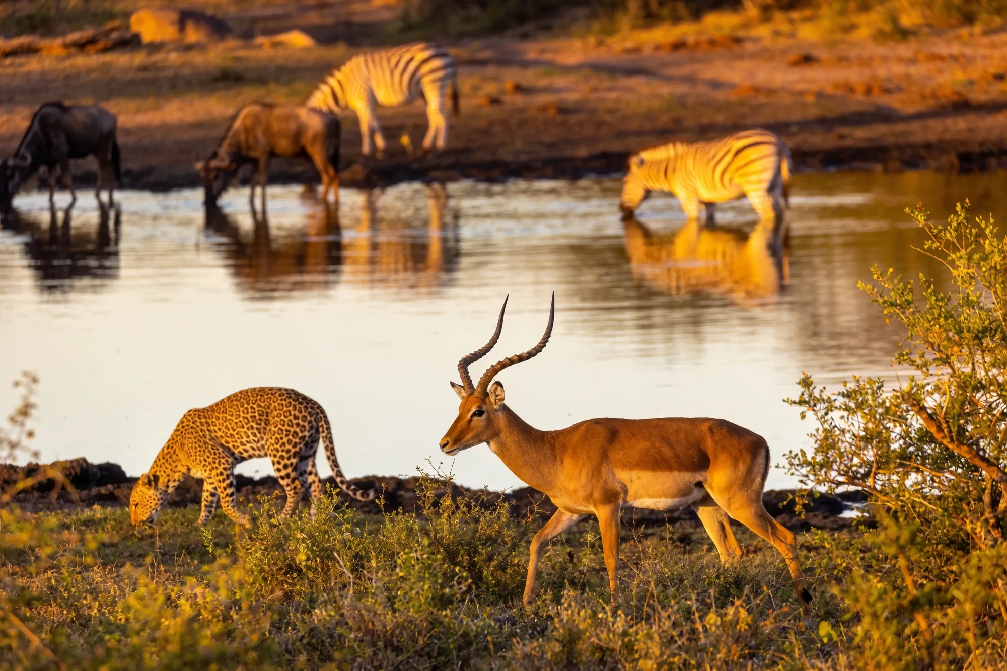 Lower Sabie & Sunset Dam