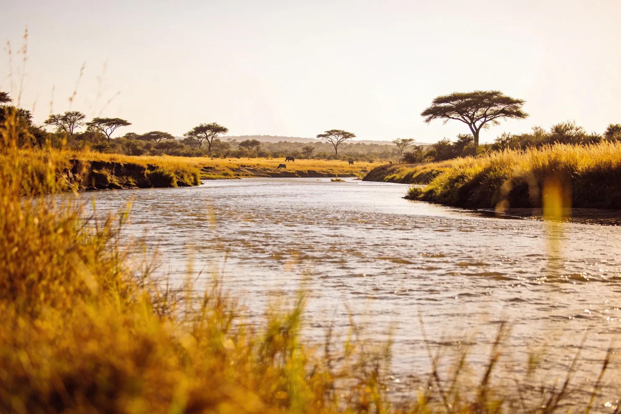 Photo: The Olifants River below