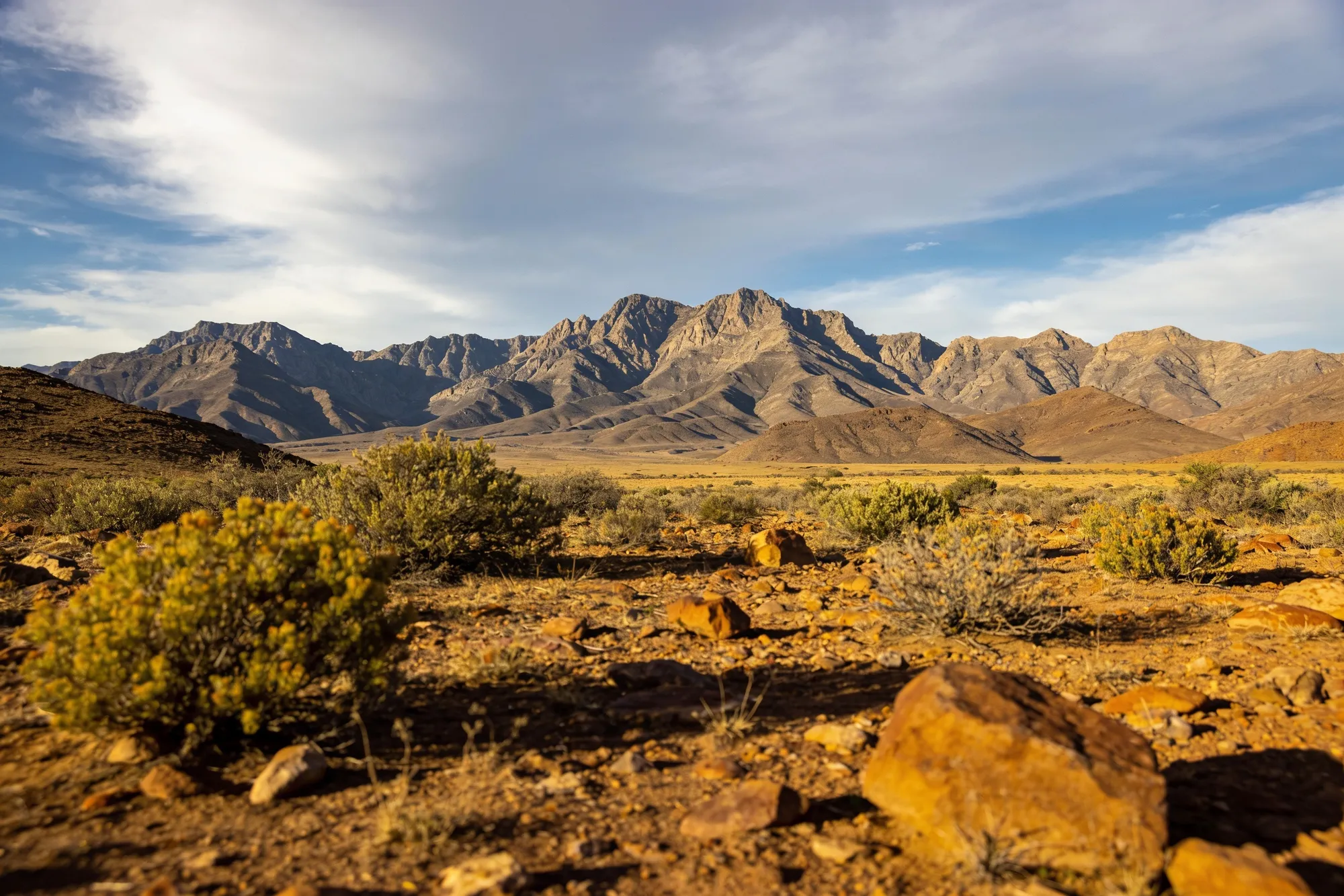 The dry Little Karoo landscape around Oudtshoorn with the Swartberg mountains