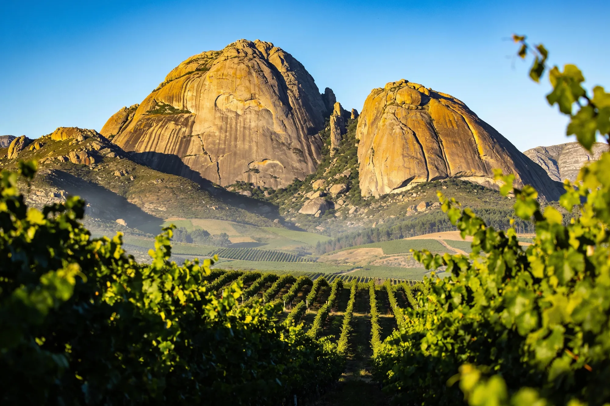 Photo — The granite domes of Paarl Rock