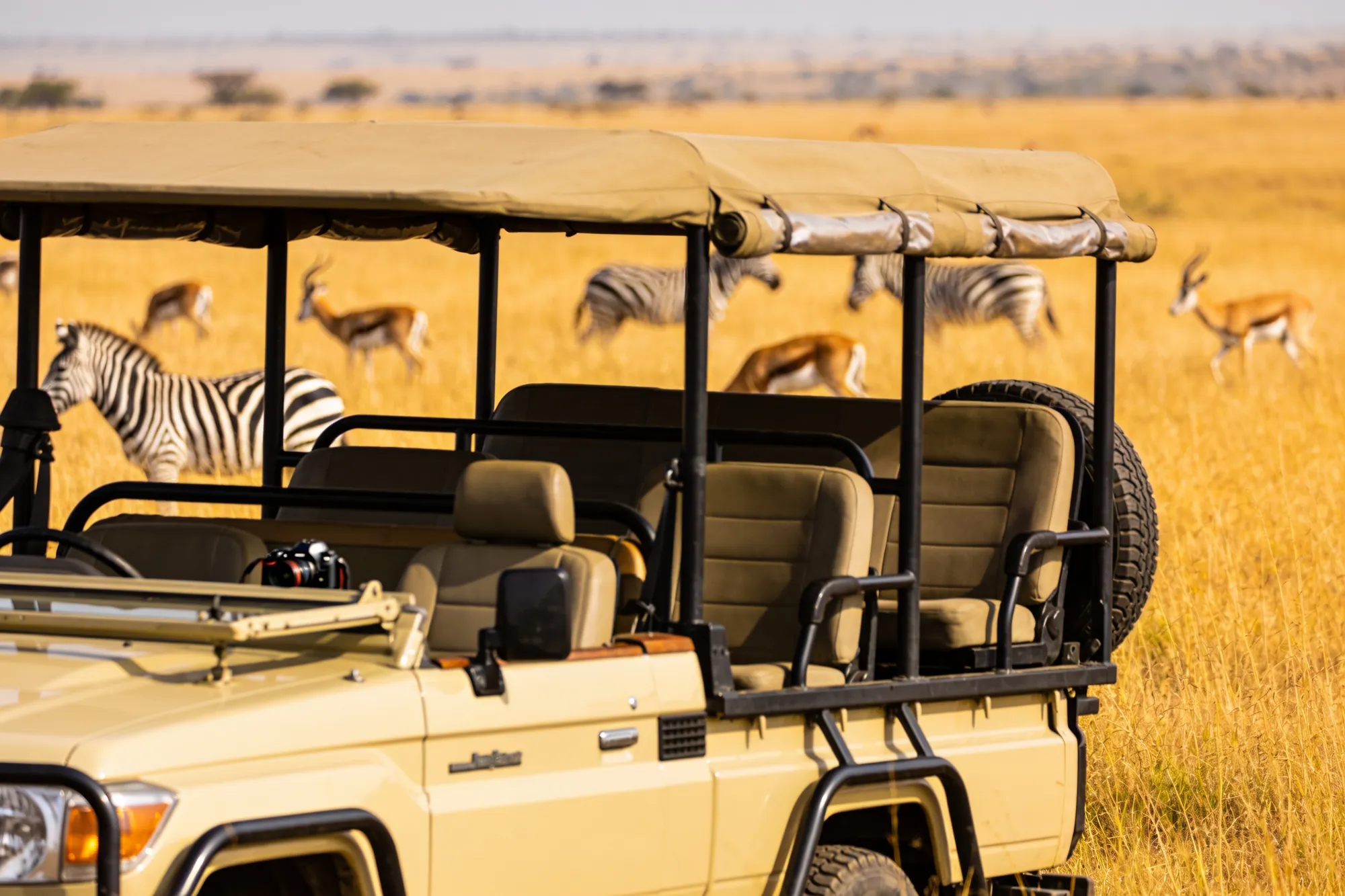 Photo — An off-road game drive