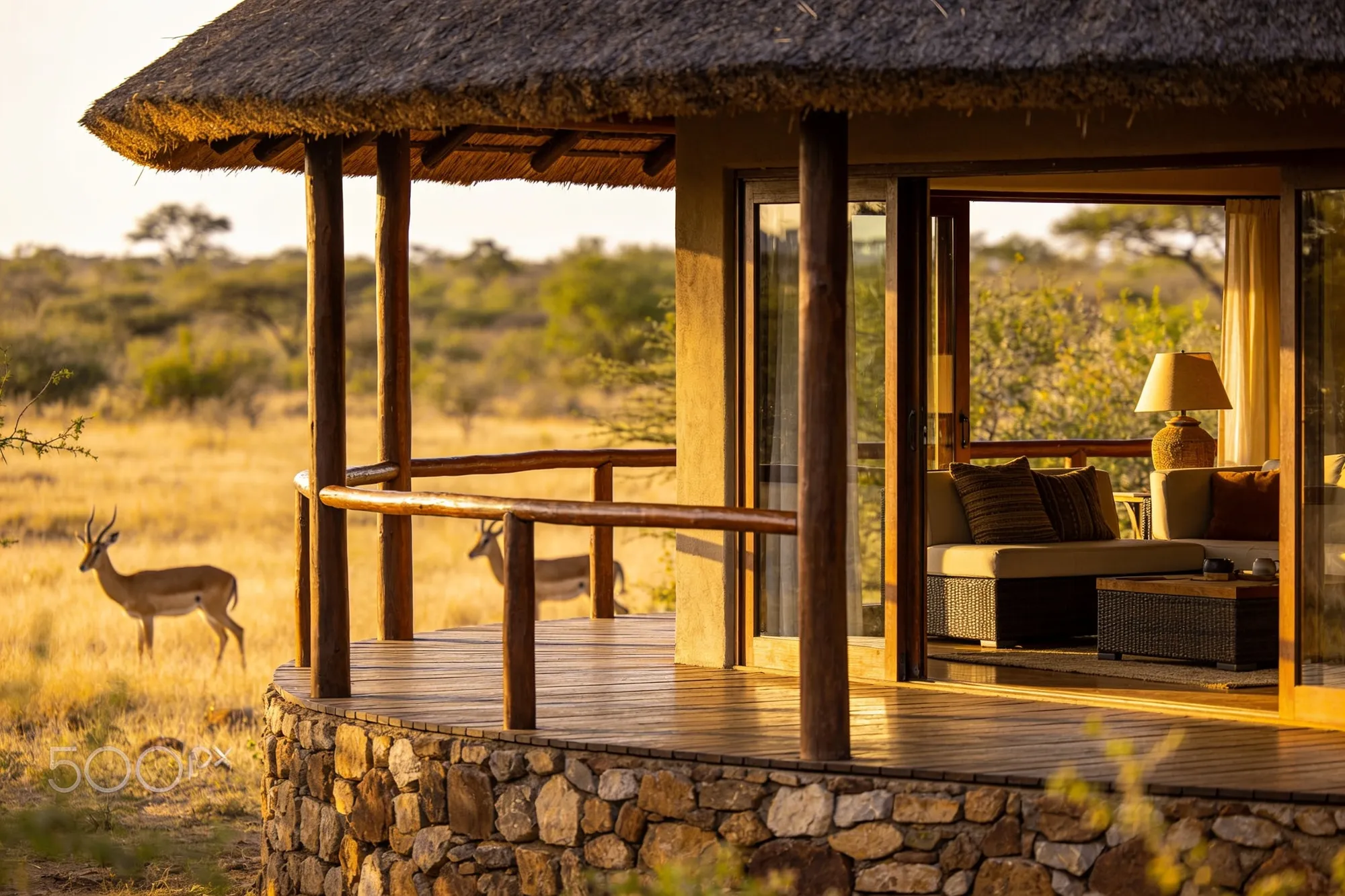 Photo: A lodge suite in the bush