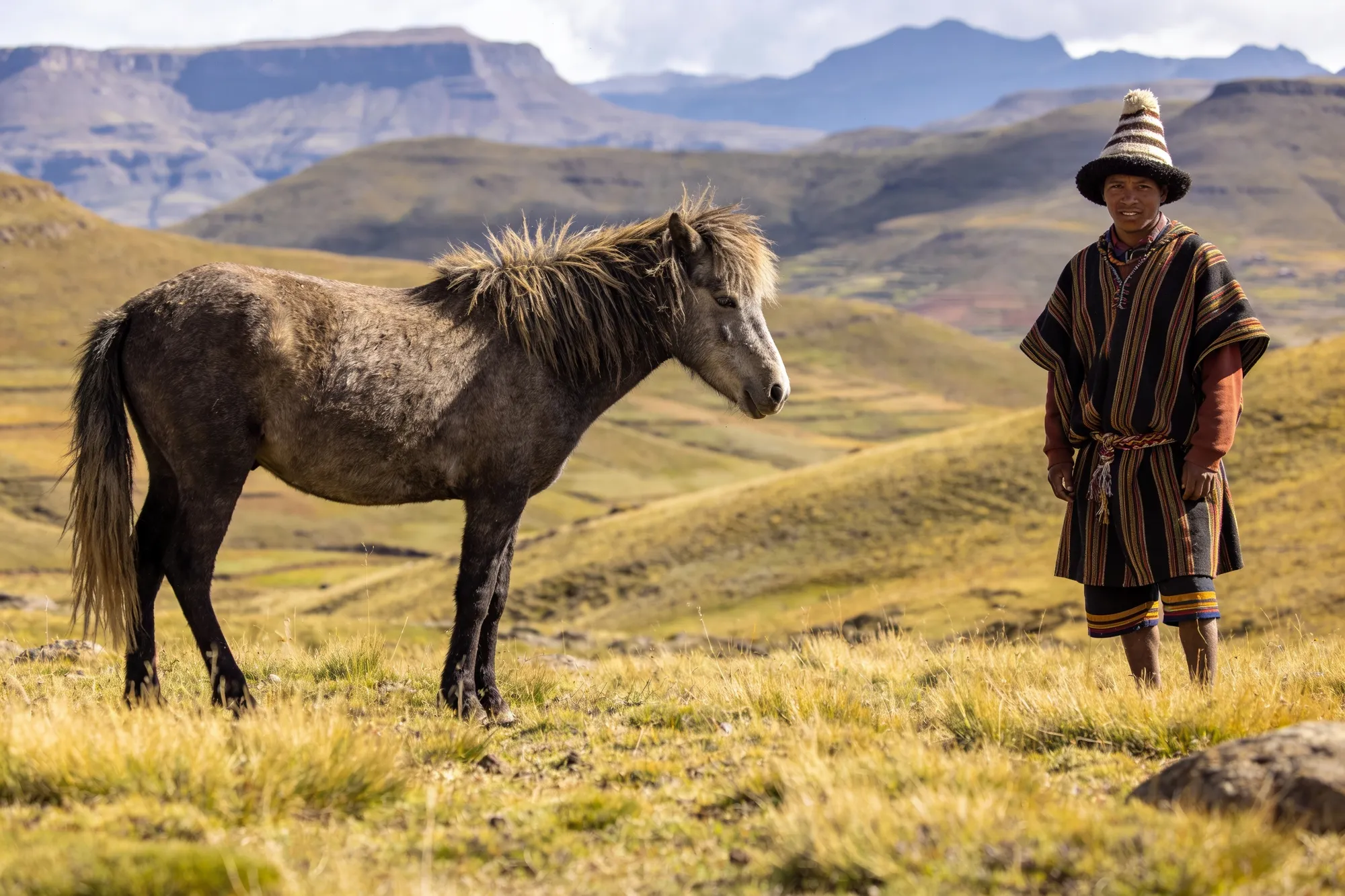 Photo — A Basotho herder and pony