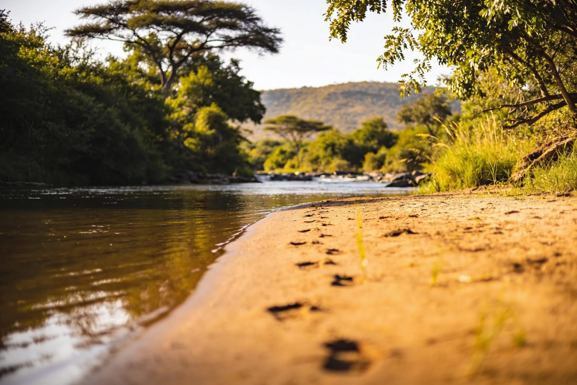 Skukuza & the Sabie River